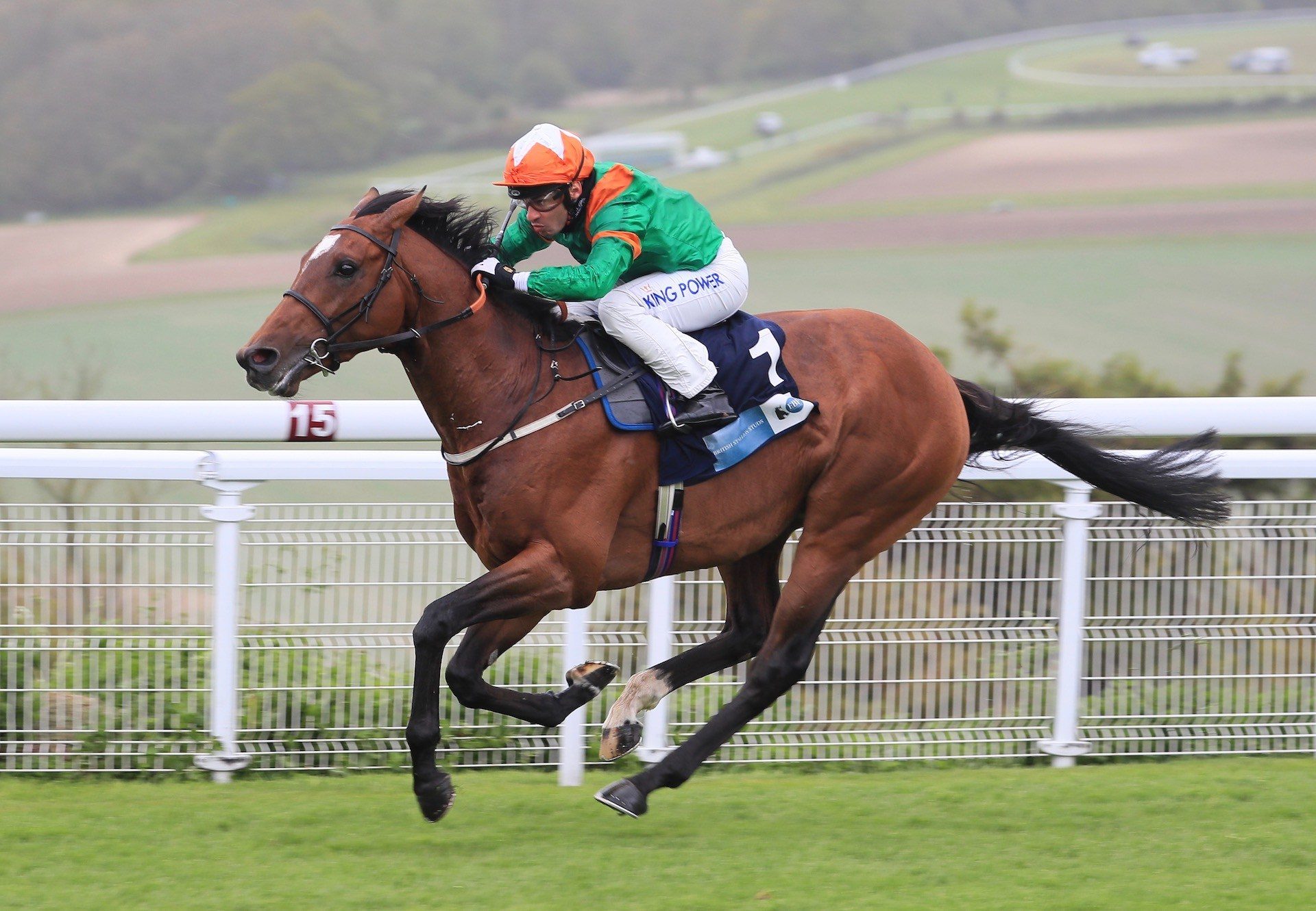 Lone Eagle (Galileo) Wins The Listed Cocked Hat Stakes At Goodwood