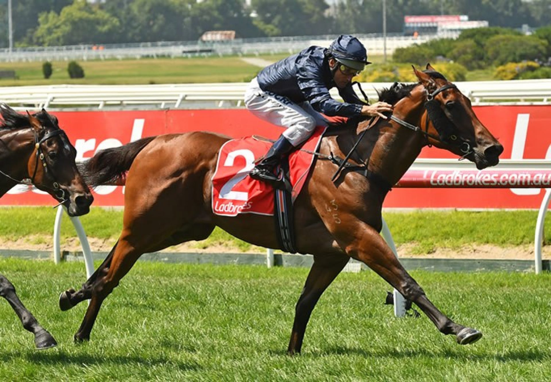 Long Leaf (Fastnet Rock) winning the Listed MRC Blue Diamond Preview at Caulfield