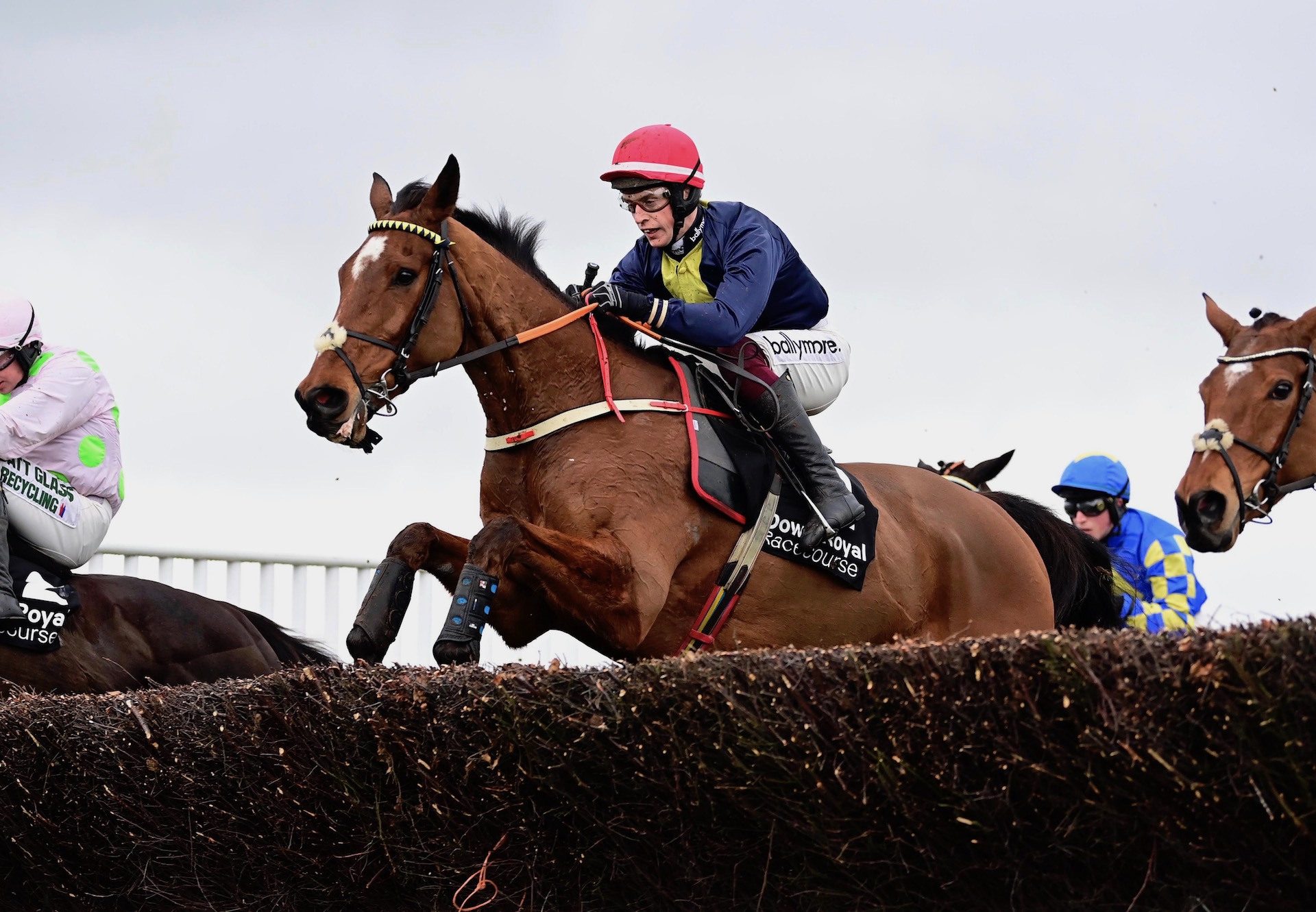 Longhouse Poet (Yeats) Wins At Down Royal