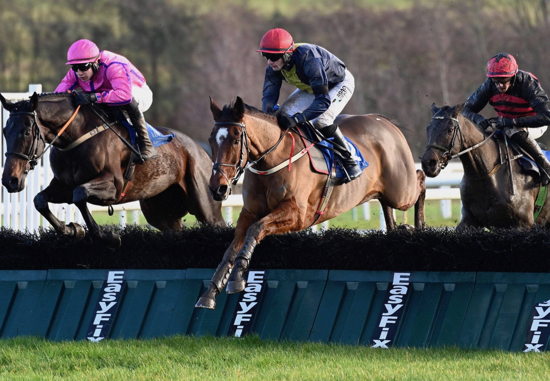 Longhouse Poet (Yeats) Wins At Limerick