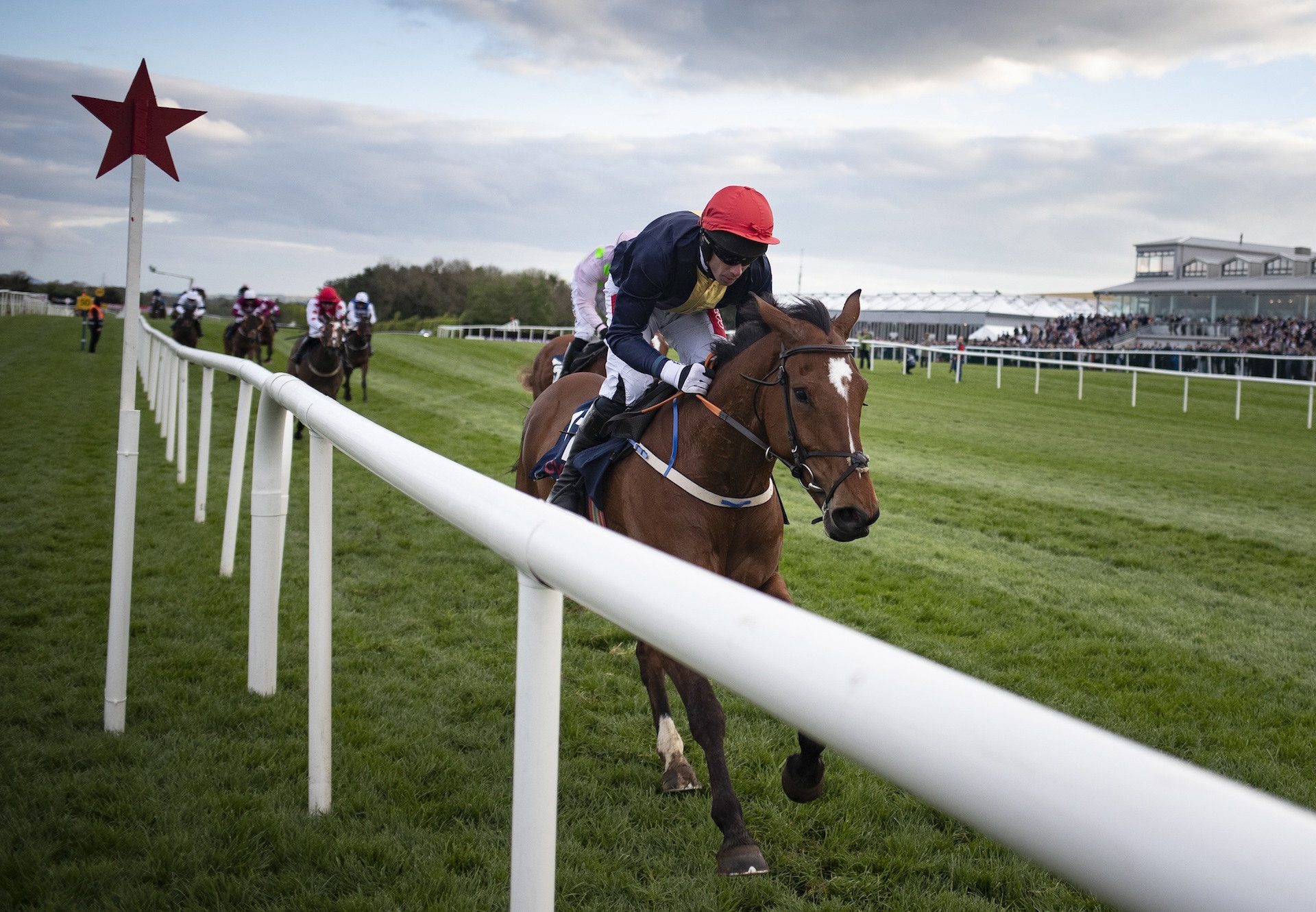 Longhouse Poet (Yeats) Wins At  Punchestown
