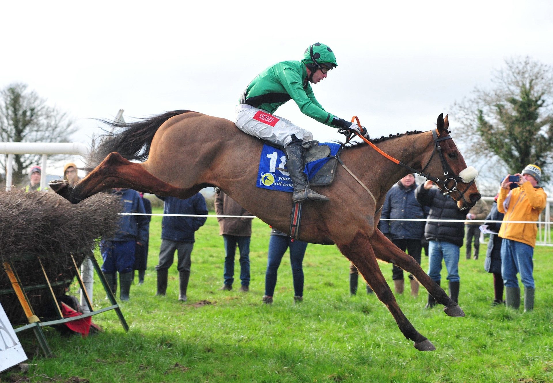 Longhouse Poet (Yeats) Wins On Debut At Boulta