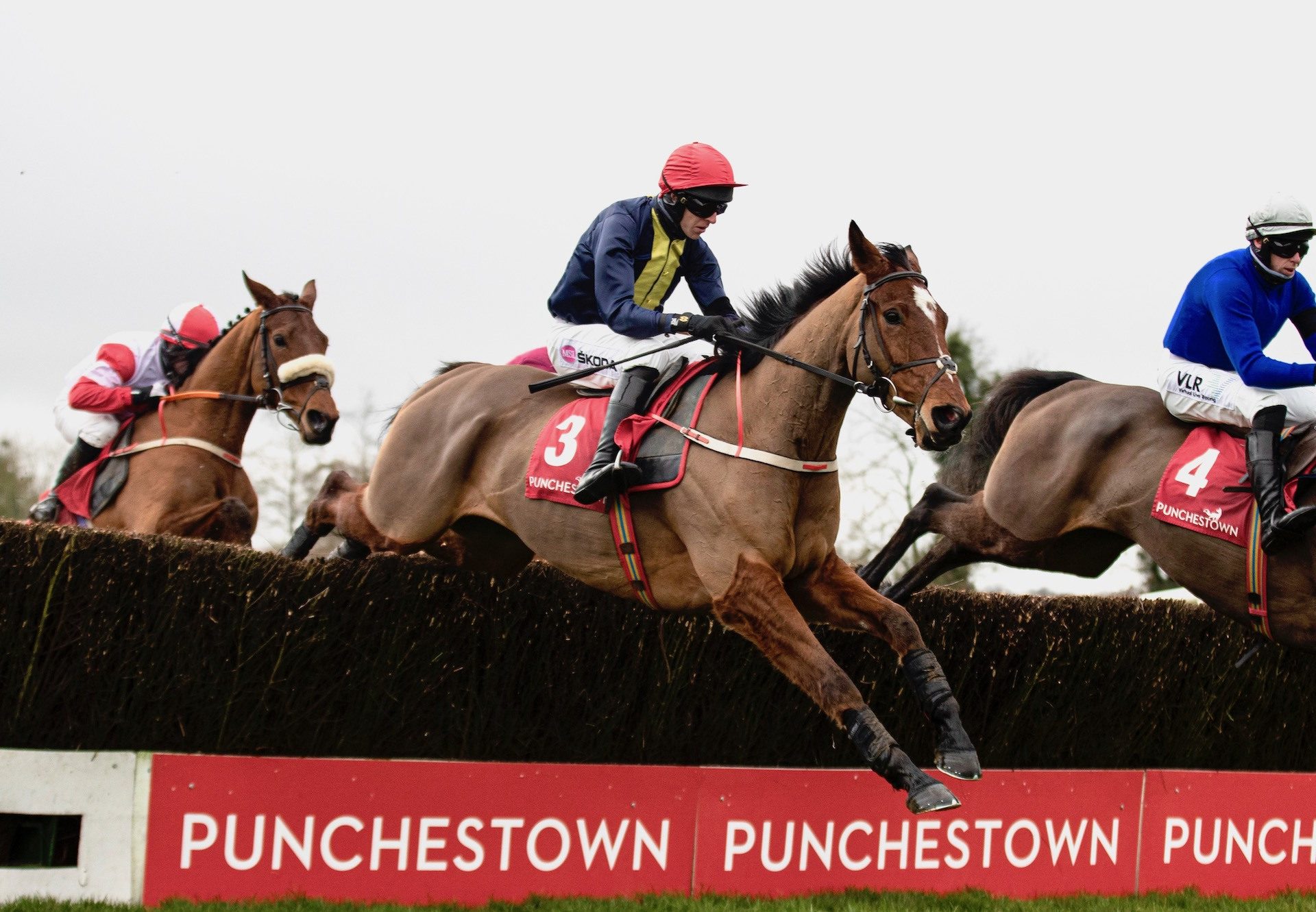 Longhouse Poet (Yeats) Wins The Beginners Chase At Punchestown