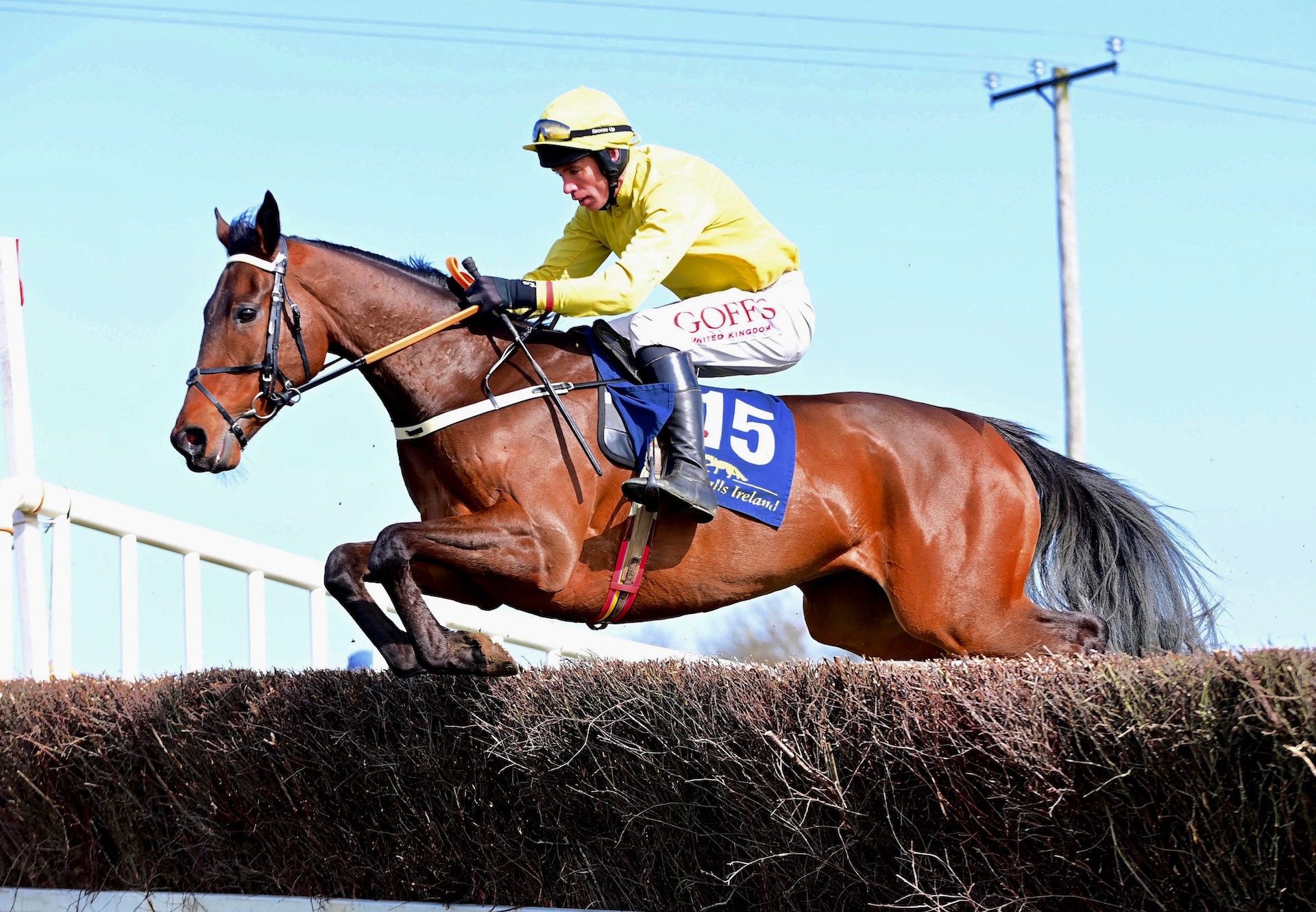 Loop Head (Westerner) Makes A Winning Debut At Nenagh