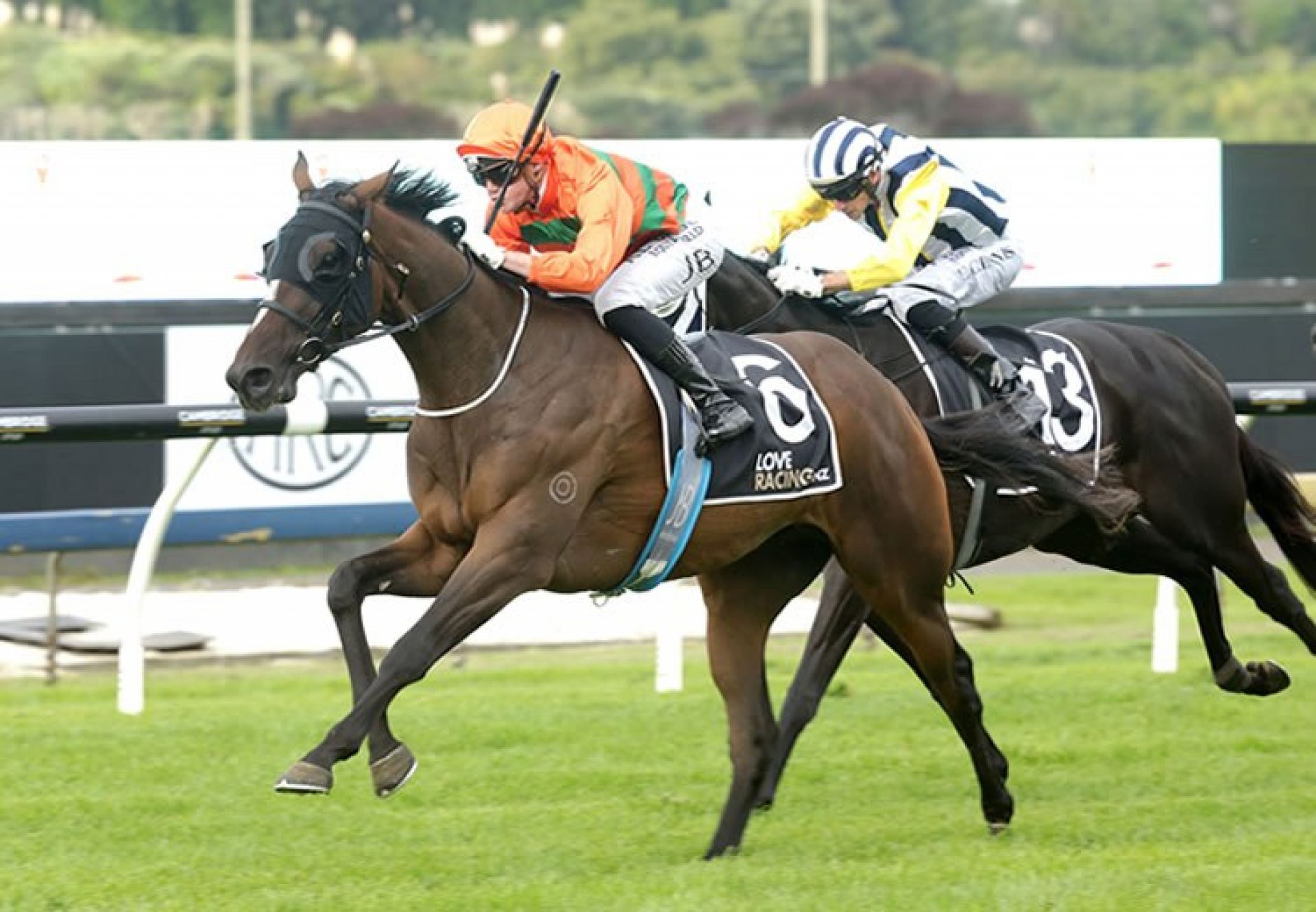 Lord Arthur (Camelot) winning the G2 Valachi Downs Championship Stakes at Ellerslie