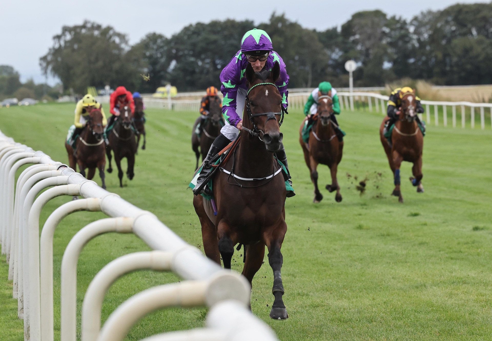 Lord Bertie (Wootton Bassett) Impresses At Thirsk