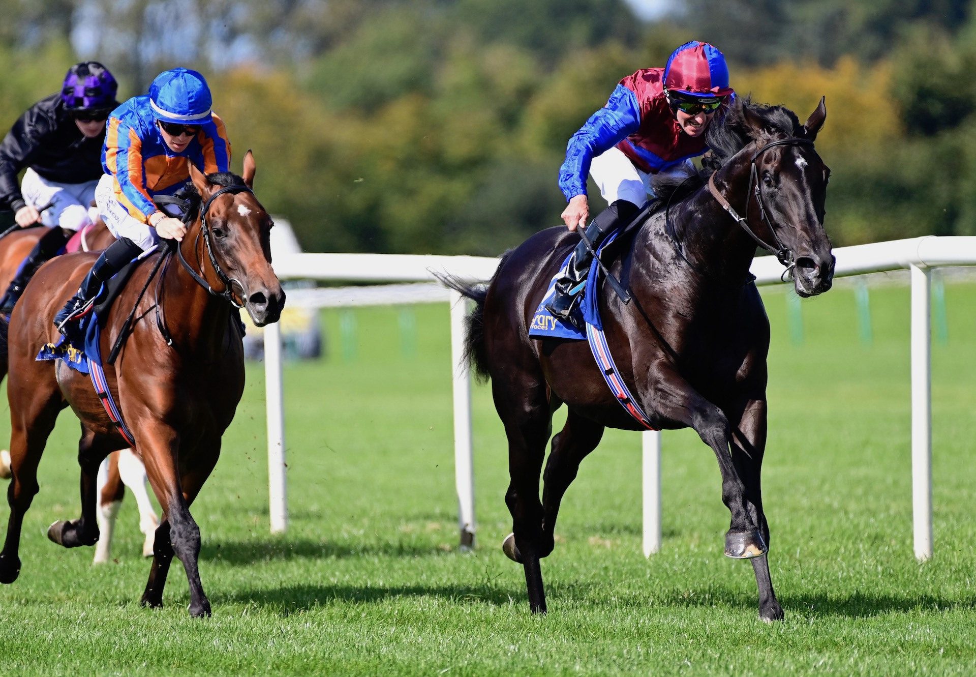 Los Angeles (Camelot) Impresses On Debut at Tipperary