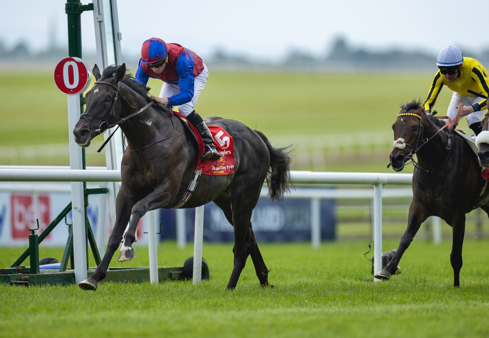 Los Angeles (Camelot) Wins The Irish Derby