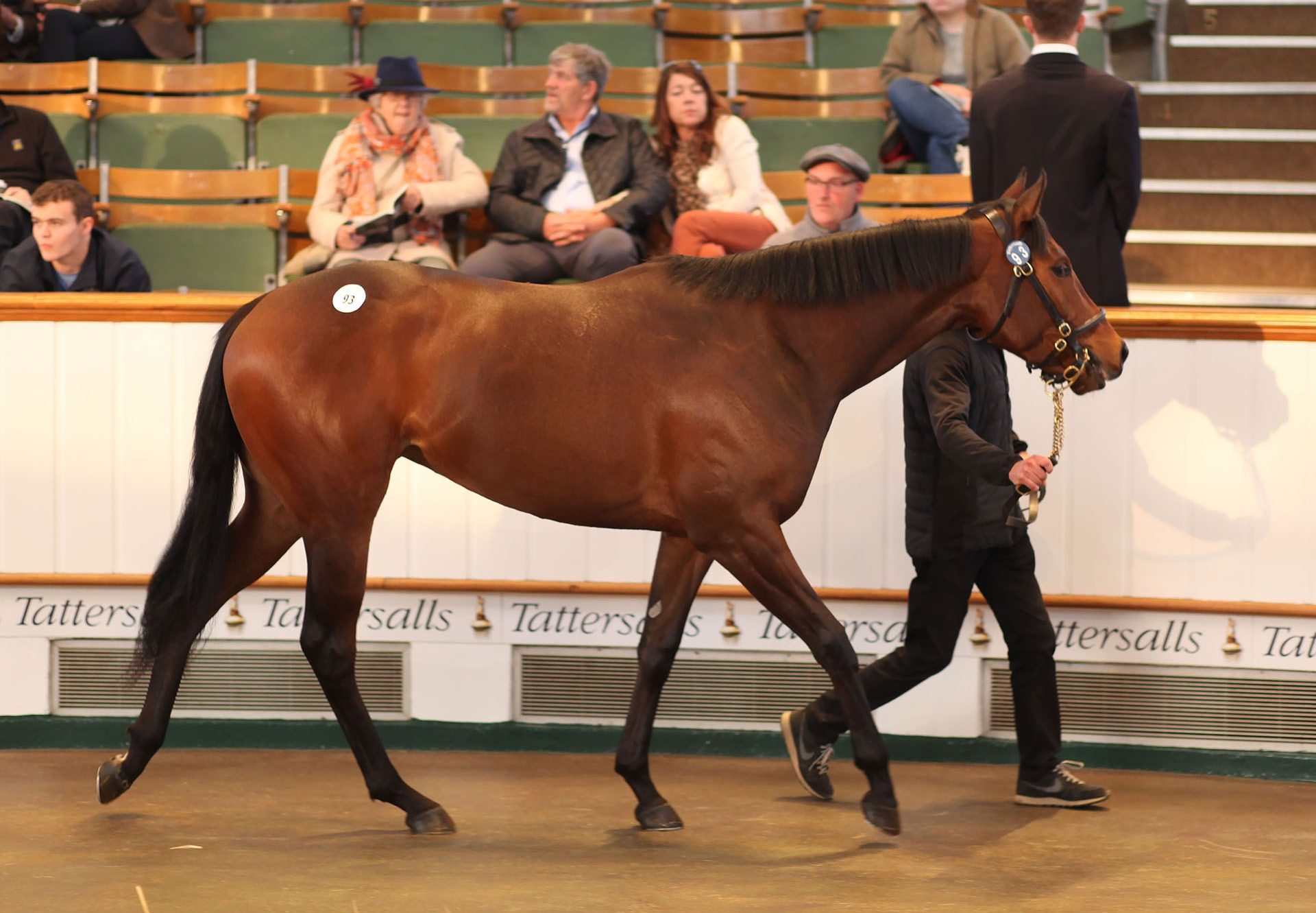 Lot 93 Competitive Edge ex Hug and Kiss filly sold for 280,000gns at the Craven Breeze Up Sale