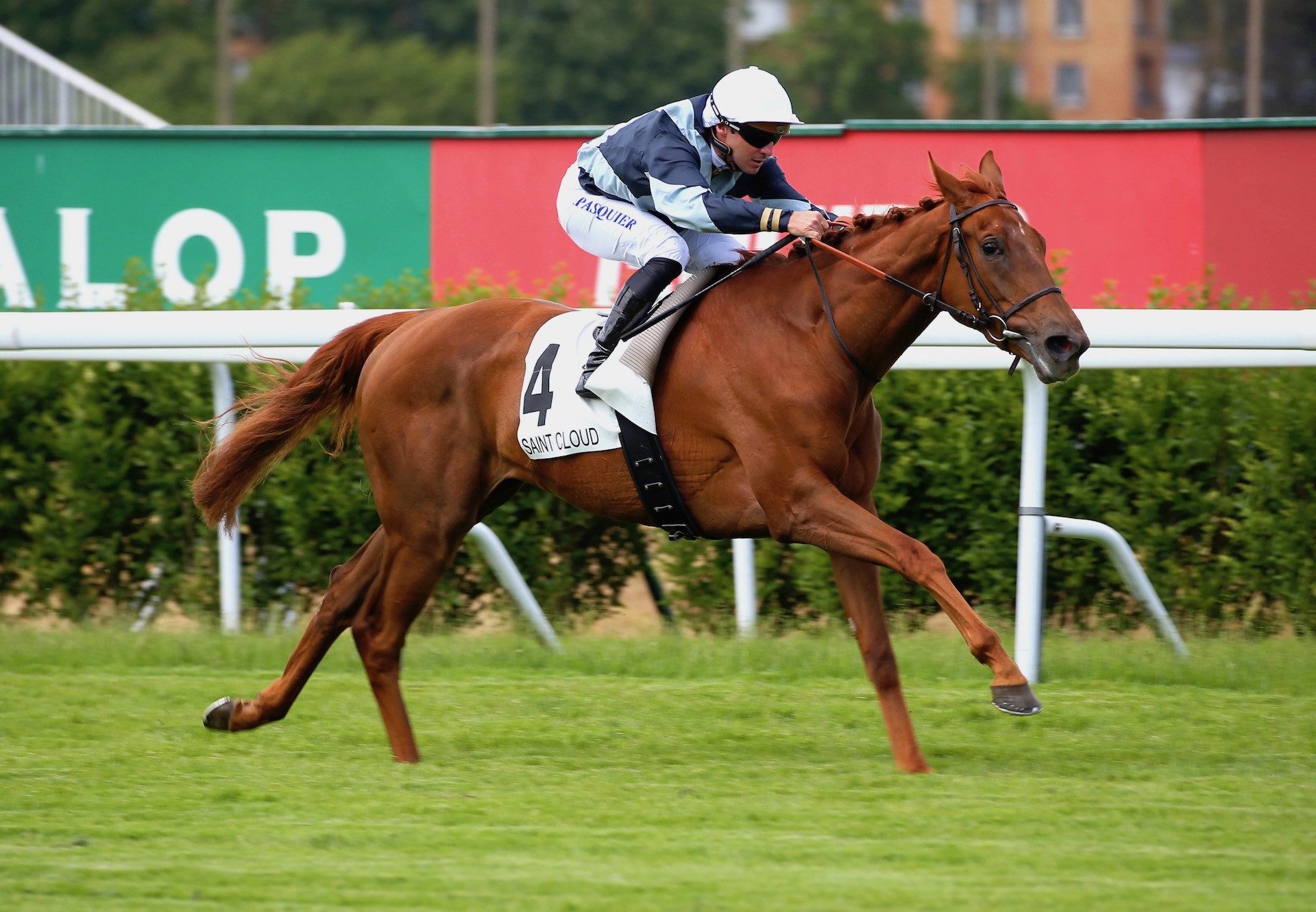 Lots Of Magic (Churchill) Impresses On Debut At Saint Cloud