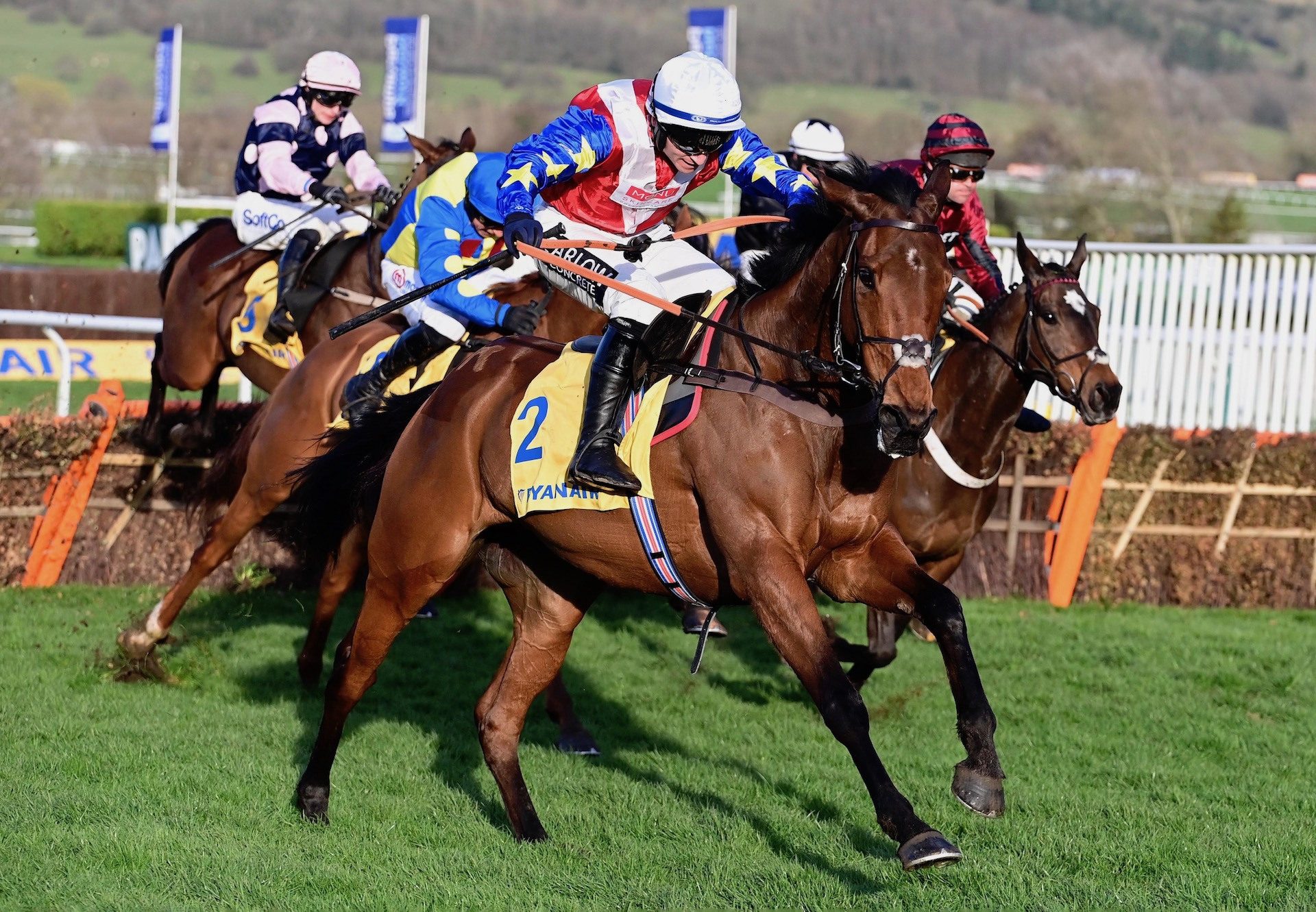 Love Envoi (Westerner) Wins The Grade 2 Ryanair Mares Novices Hurdle At Cheltenham