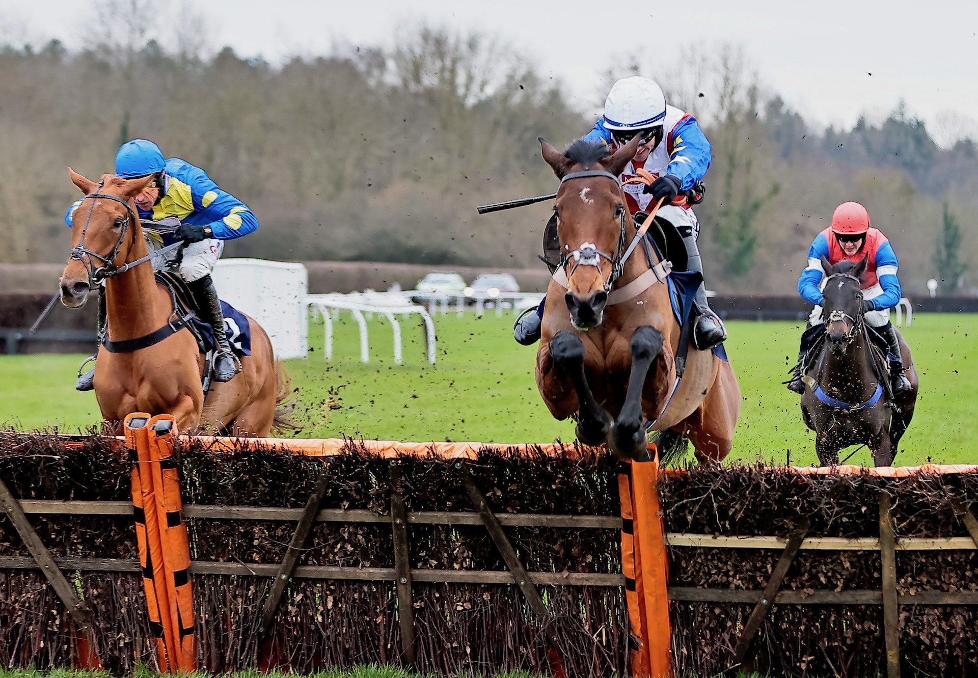 Love Envoi (Westerner) Wins The Winter Million Mares Novices Hurdle At Lingfield