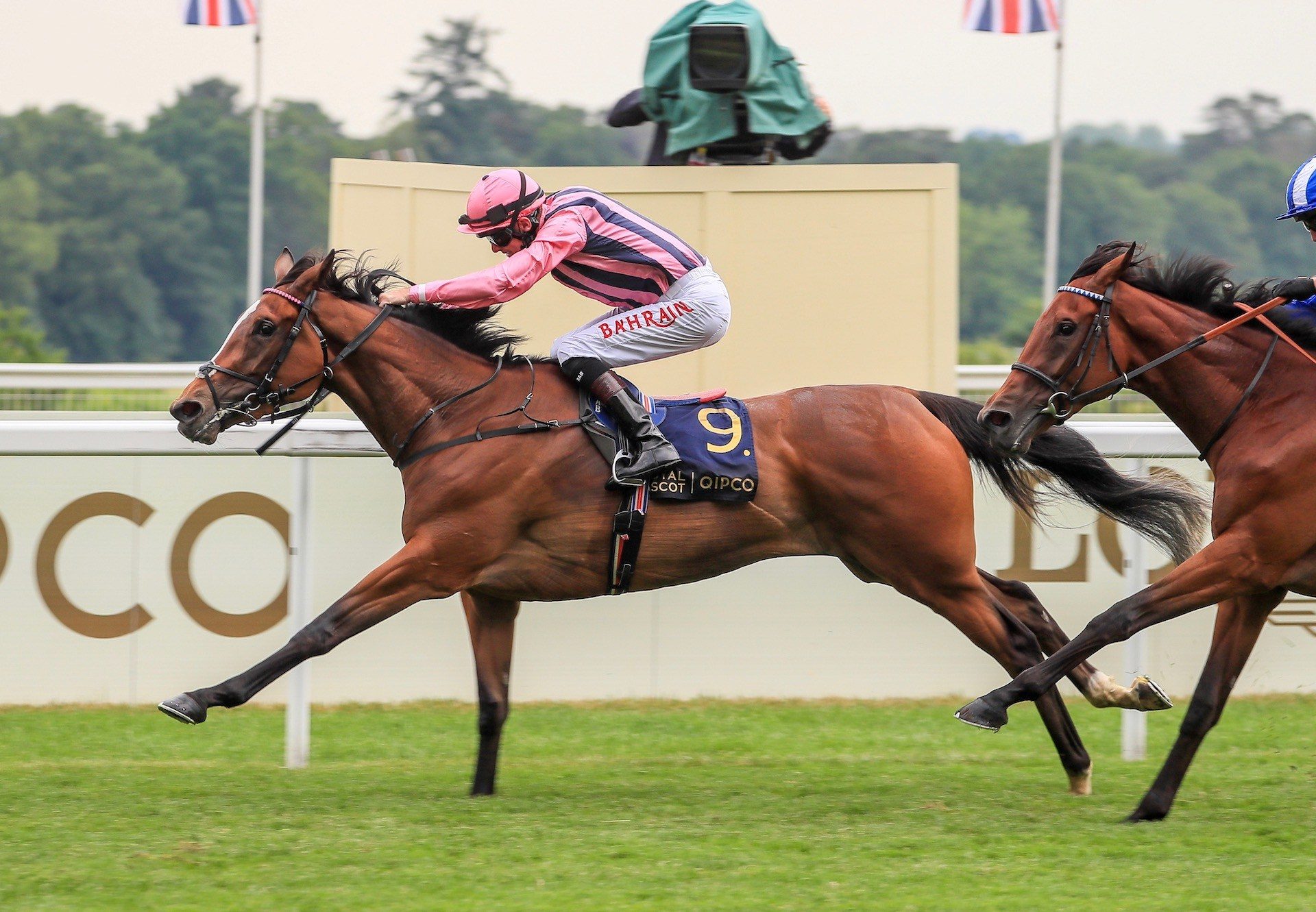 Loving Dream (Gleneagles) Wins The Gr.2 Ribblesdale Stakes at Royal Ascot