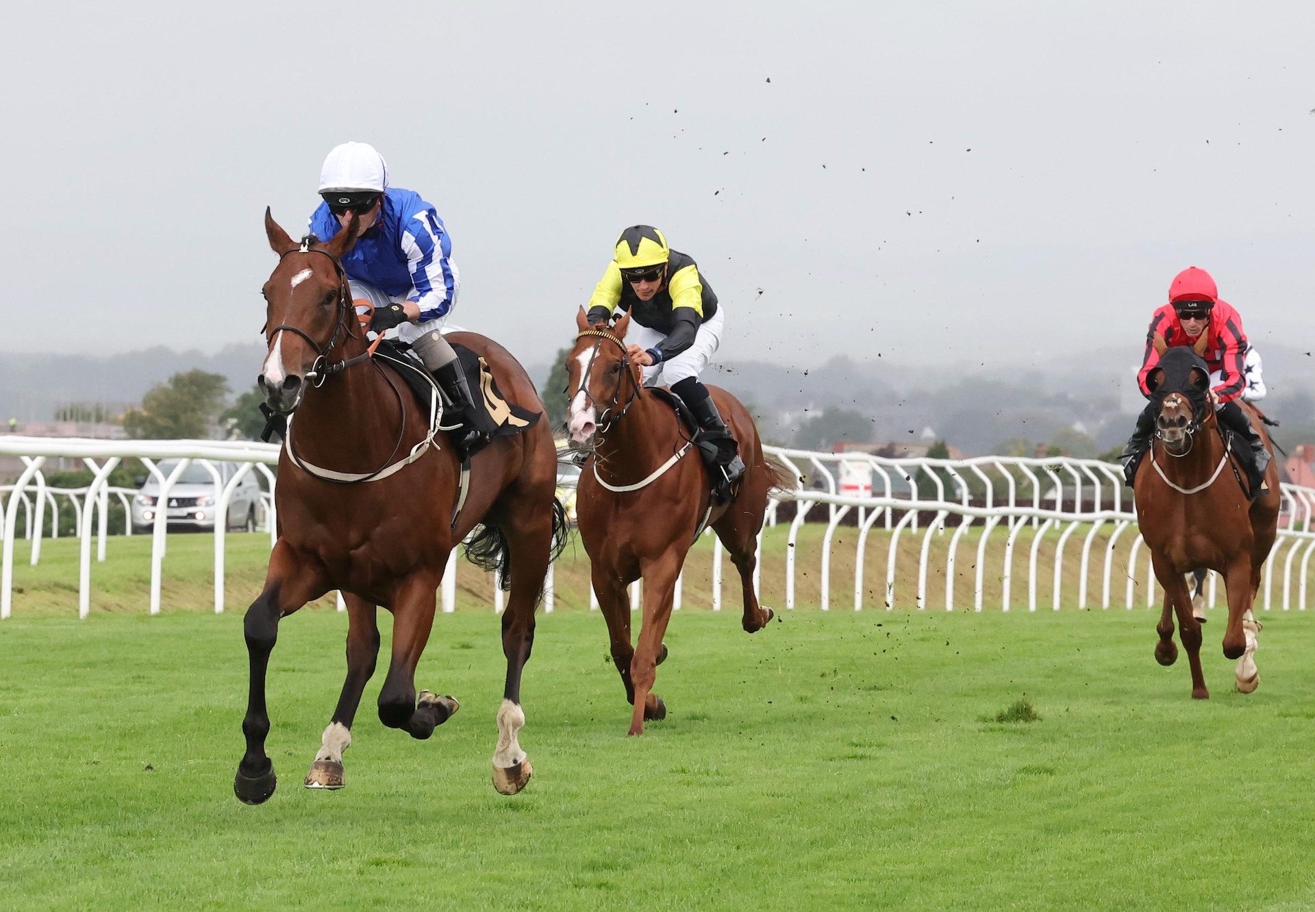 Loyal Touch (No Nay Never) Impresses At Carlisle