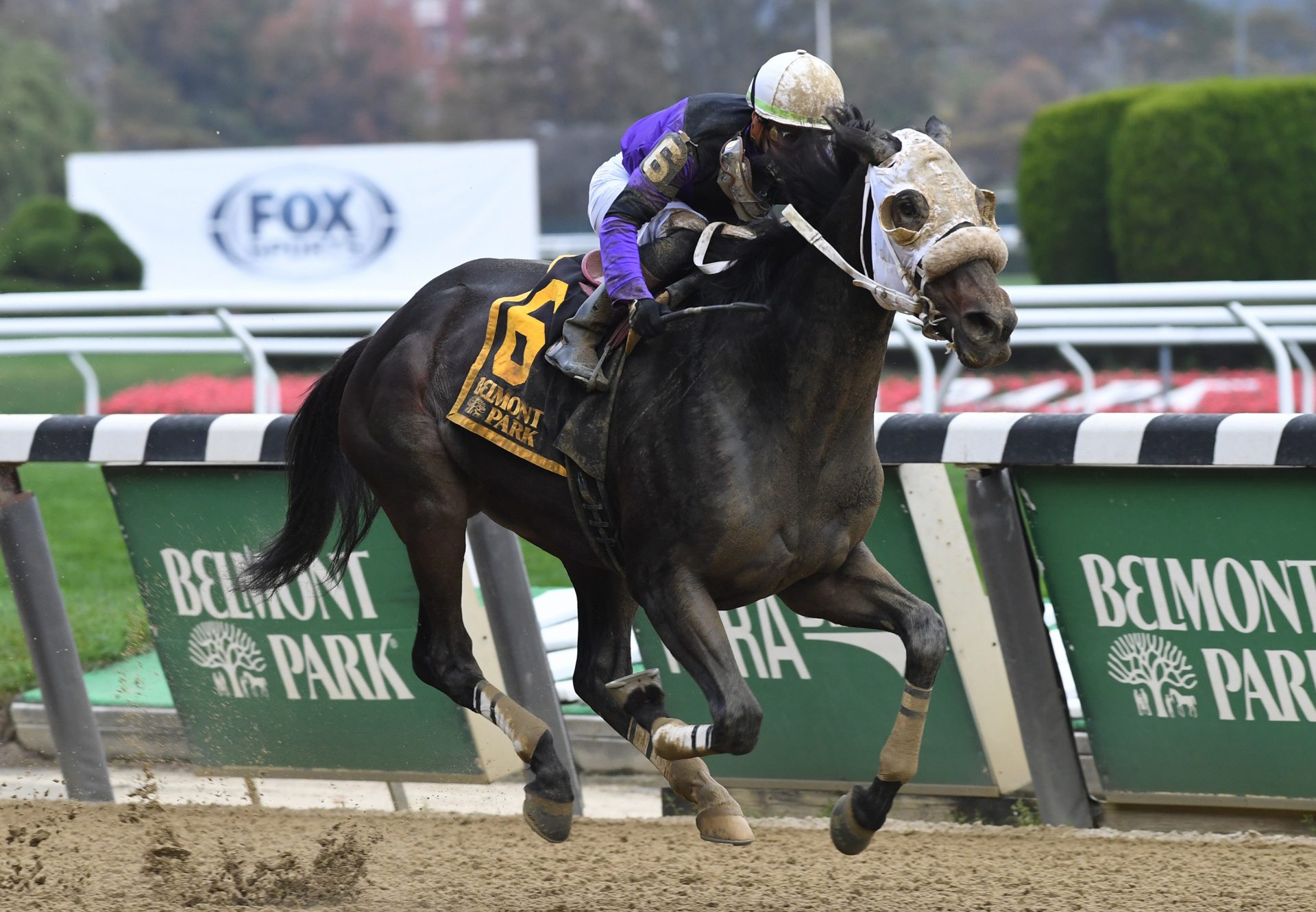 Lucky Move (Lookin At Lucky) Wins Empire Distaff Handicap at Belmont Park