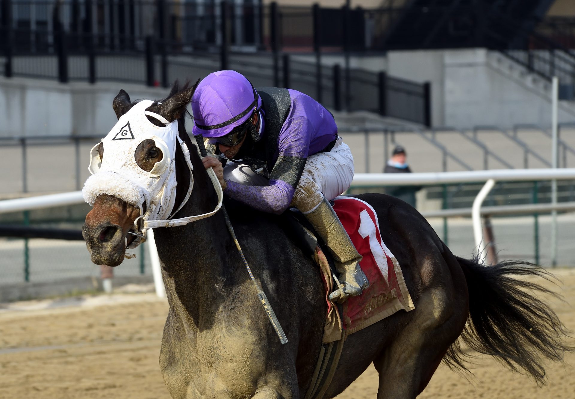 Lucky Move (Lookin At Lucky) Wins The Bay Ridge Stakes at Aqueduct