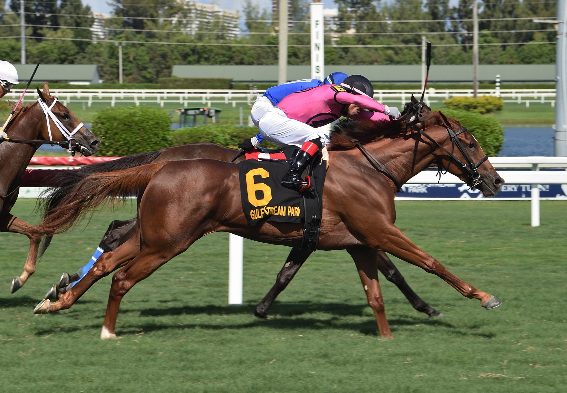 Lucky Polly (Lookin At Lucky) wins the  Martha Washington Stakes at Gulfstream Park