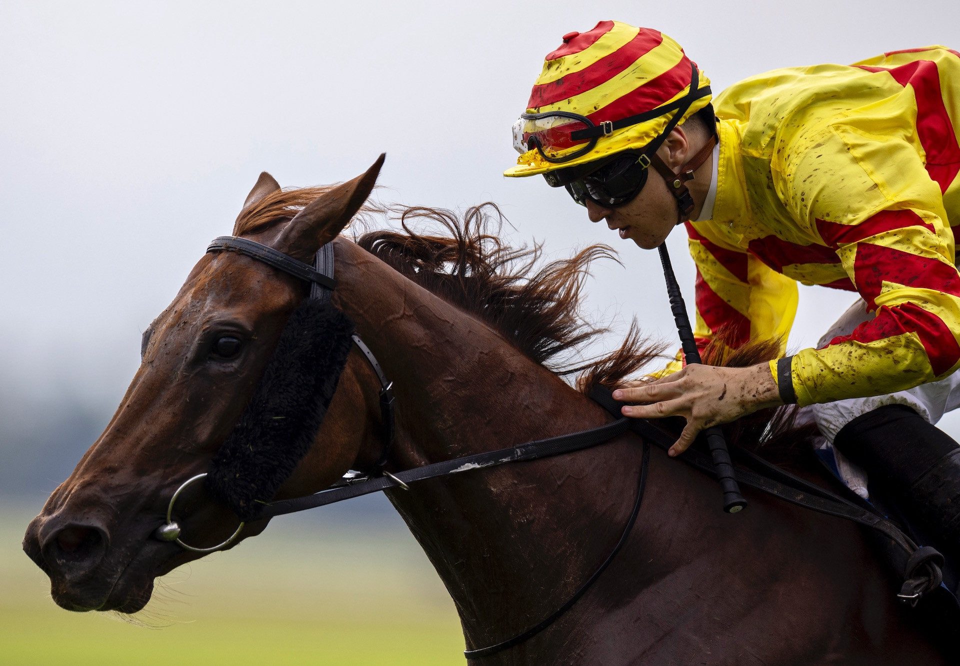 Lumiere Rock (Saxon Warrior) Wins The Group 2 Blandford Stakes at the Curragh