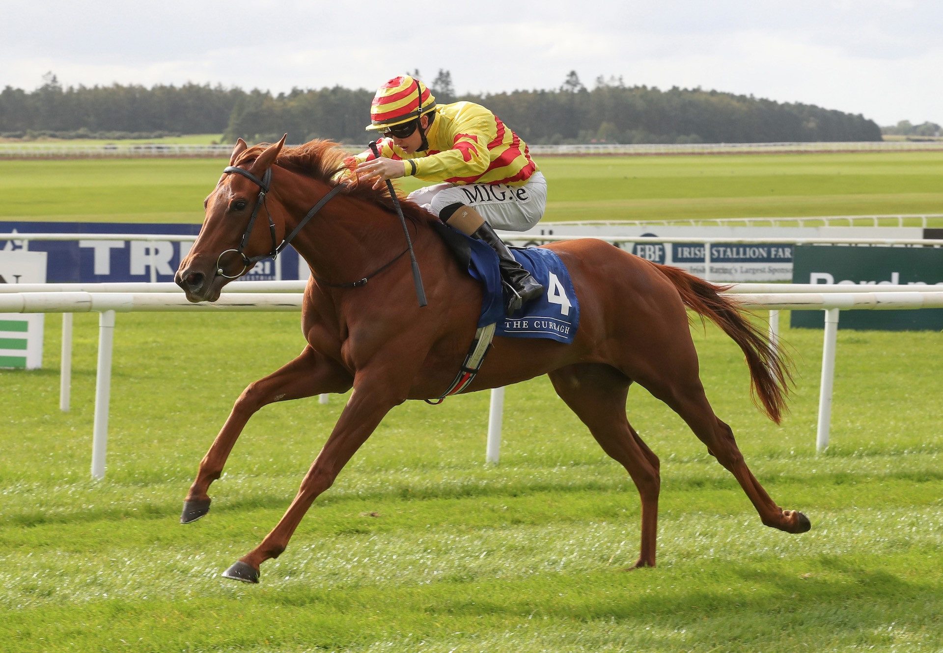 Lumiere Rock (Saxon Warrior) Wins The Group 3 Staffordstown Stud Stakes at the Curragh