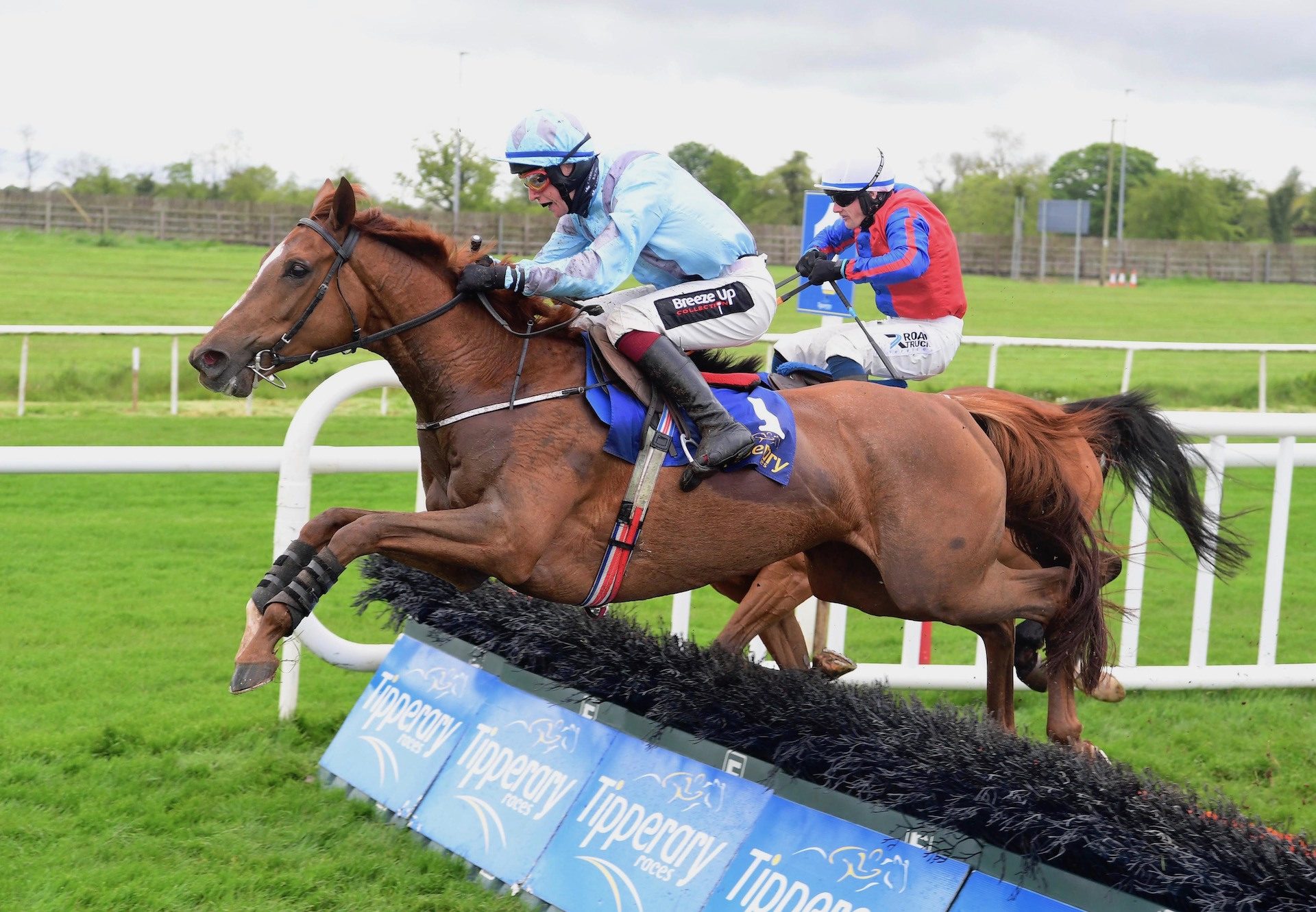 Lunar Display (Getaway) Wins The Mares Maiden Hurdle At Tipperary