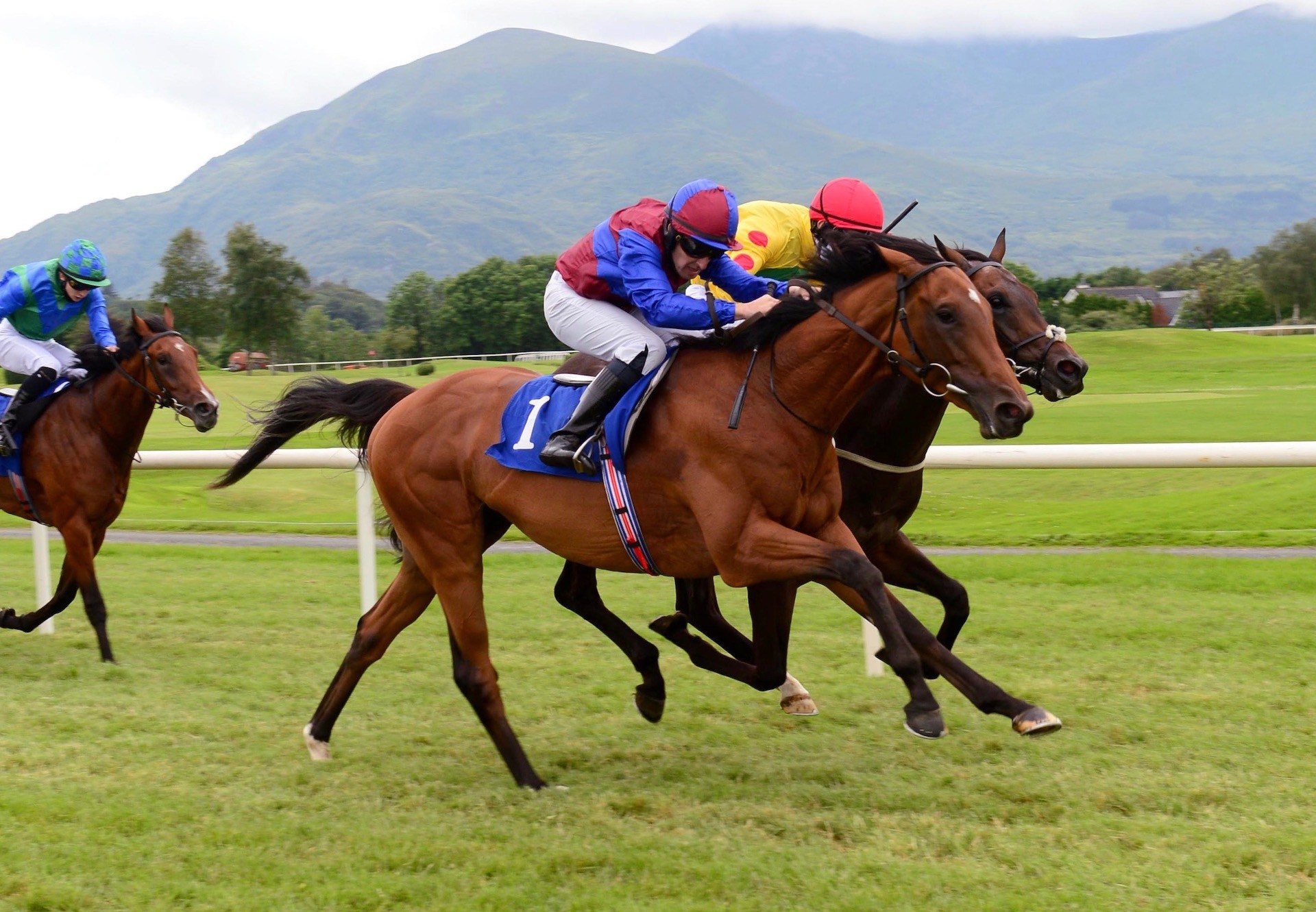 Luxembourg (Camelot) Makes A Winning Debut At Killarney