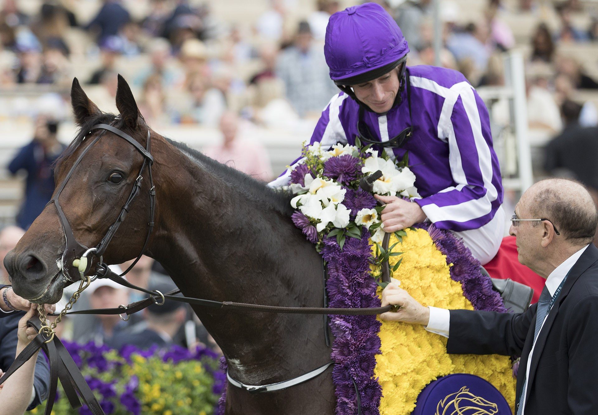 Mendelssohn after winning the G1 Breeders Cup Juvenile Turf at Del Mar