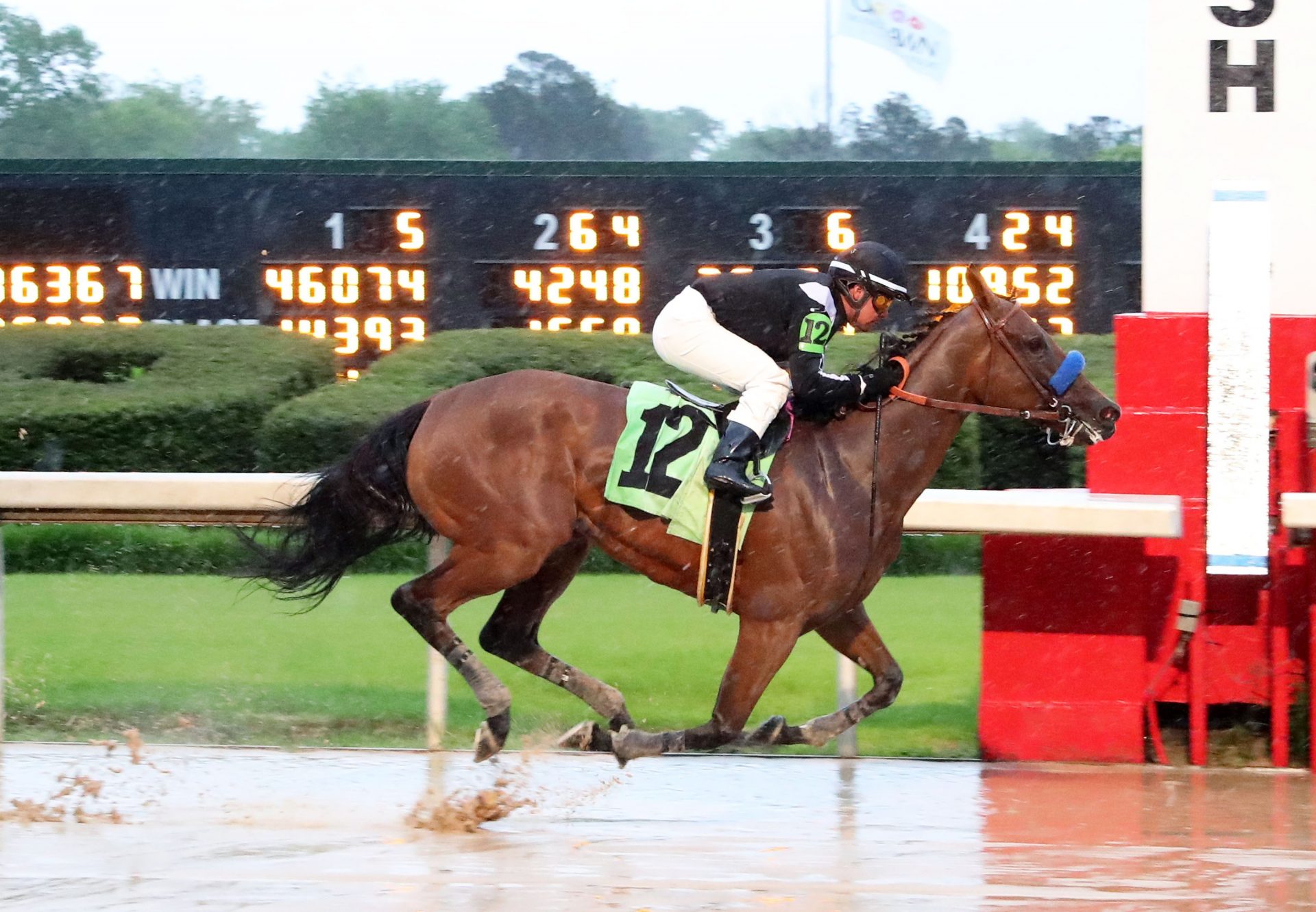 Merneith (American Pharoah) Breaks Maiden at Oaklawn Park