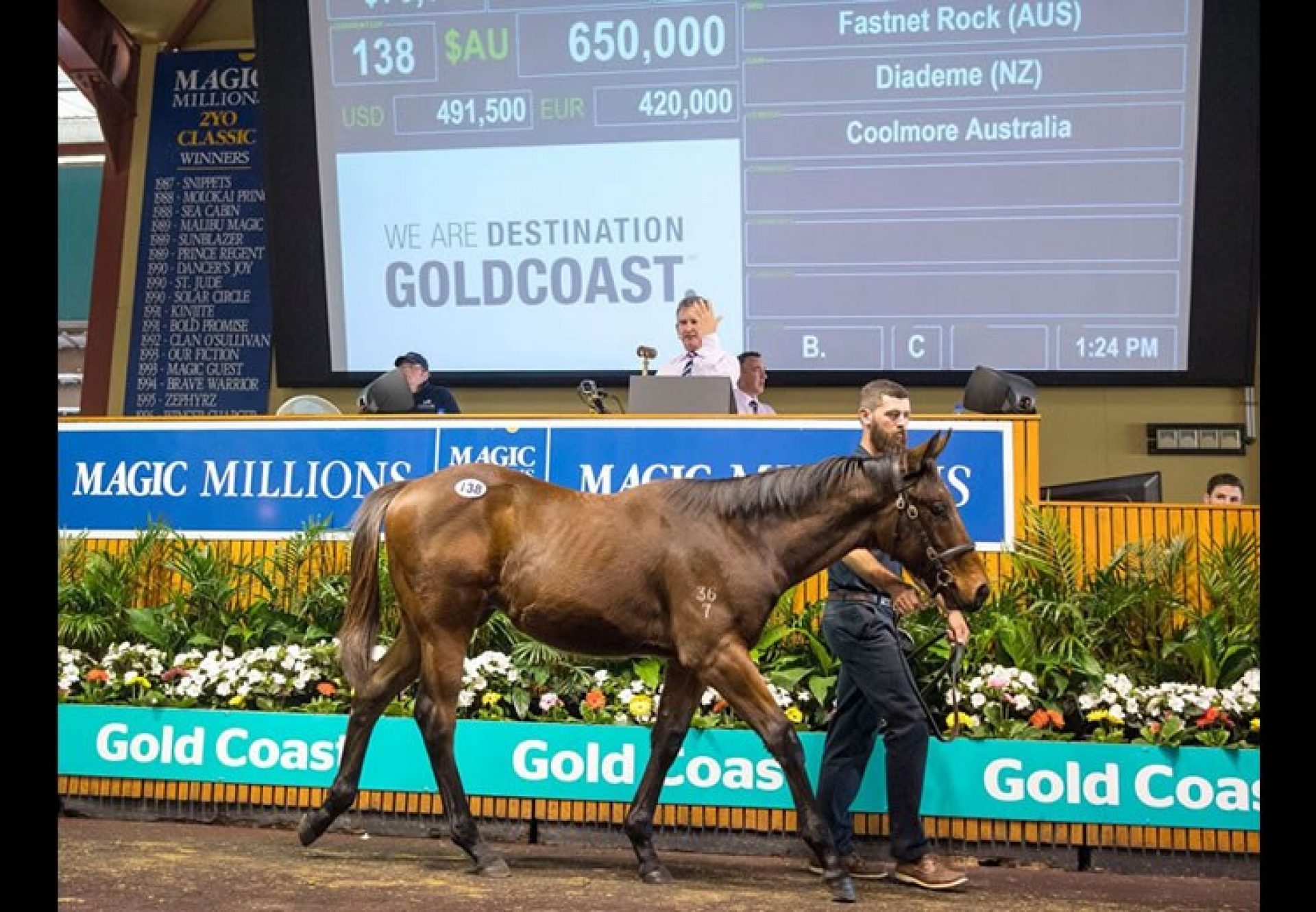 Fastnet Rock ex Diademe colt selling for $650,000 at the Magic Millions Weanling Sale