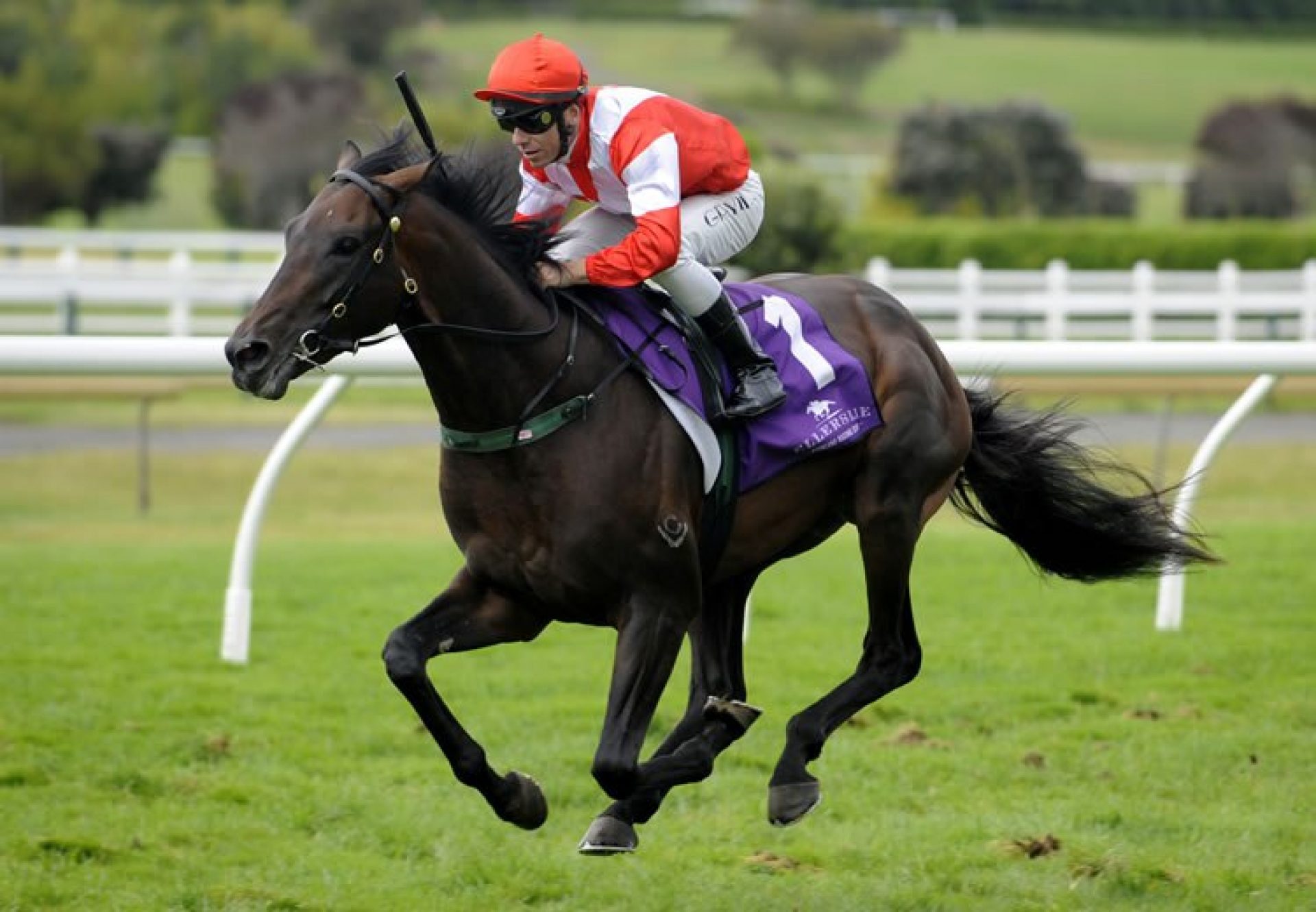 Mongolian Khan (Holy Roman Emperor) winning the G2 Avondale Guineas at Ellerslie