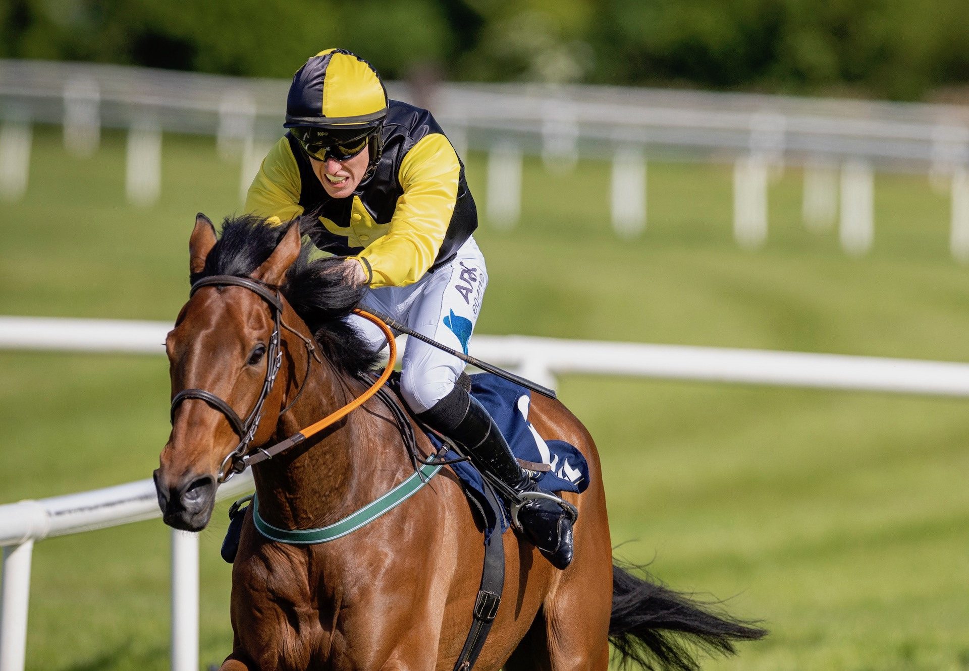 Macanogue (Walk In The Park) Wins The Maiden Hurdle At Kilbeggan