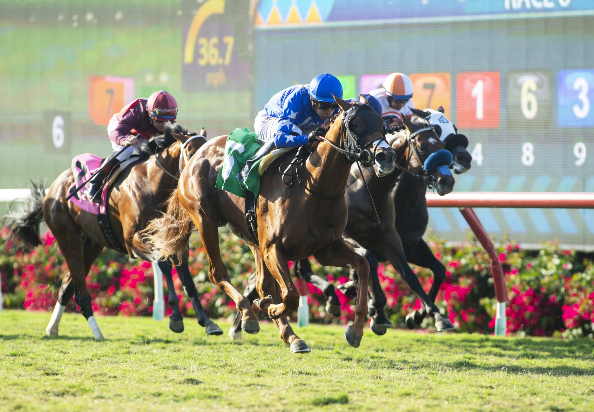 Mackinnon (American Pharoah) Wins Del Mar Juvenile Turf