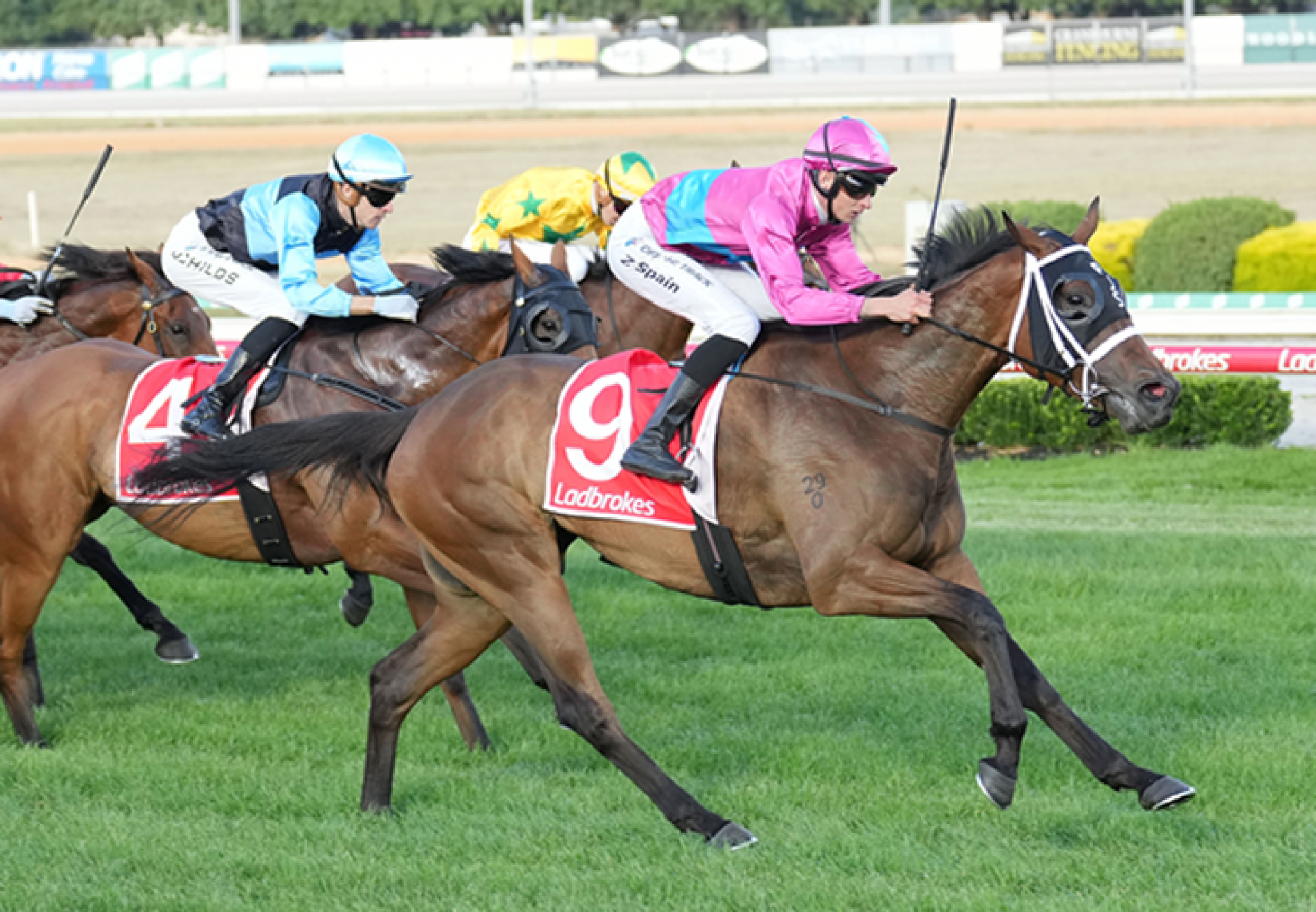 Madison Kate (So You Think) winning at Cranbourne