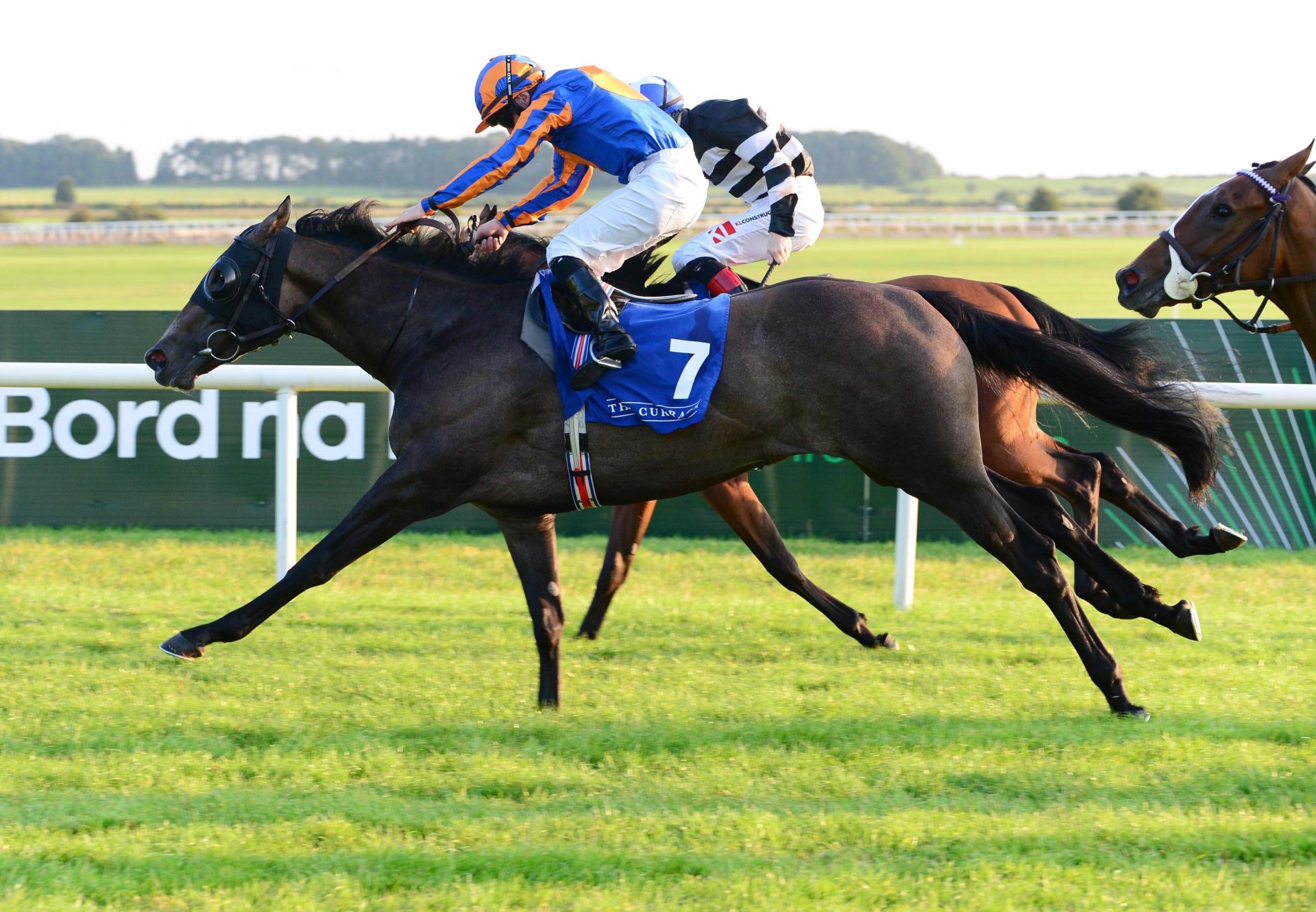 Madonnadelrosario (Caravaggio) breaking her maiden At Curragh