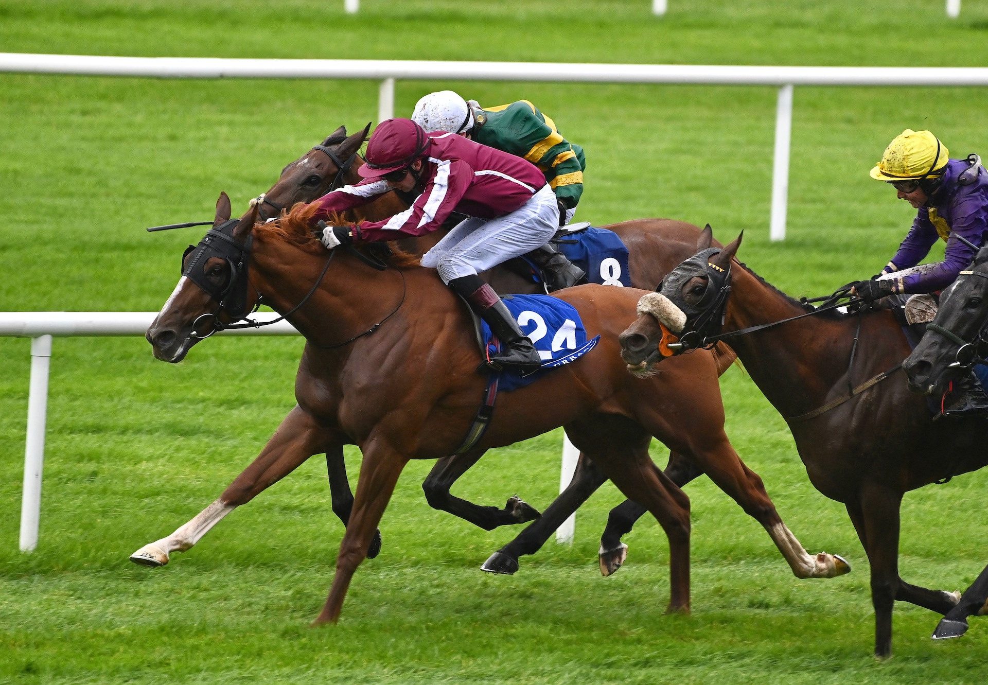 Magellan Strait (Australia) Wins The Irish Cesarewitch at the Curragh