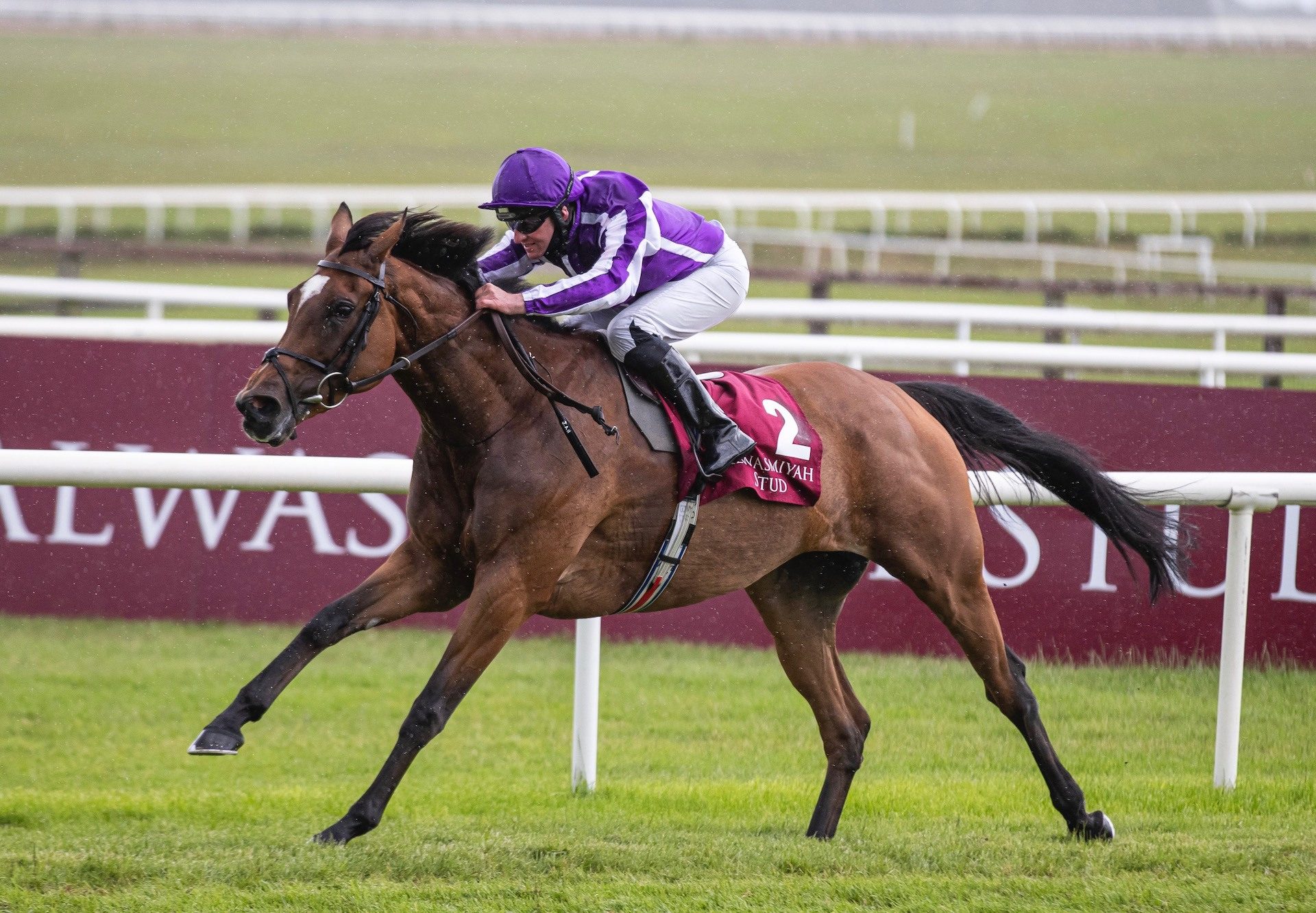 Magical (Galileo) Wins The Group 1 Pretty Polly Stakes at the Curragh