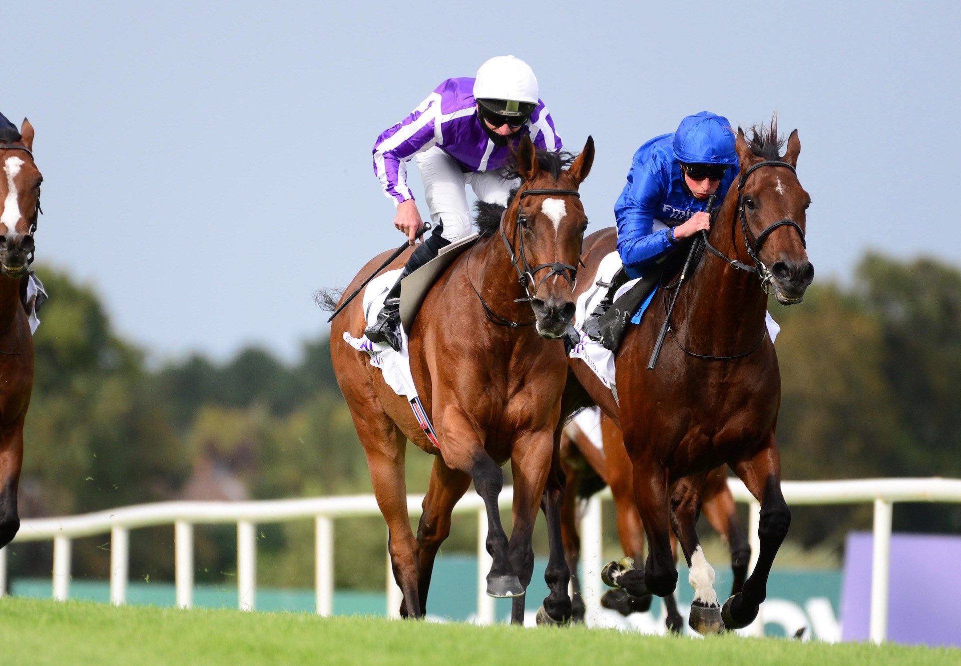 Magical (Galileo) Wins The Gr.1 Irish Champion Stakes at Leopardstown For A Second Time