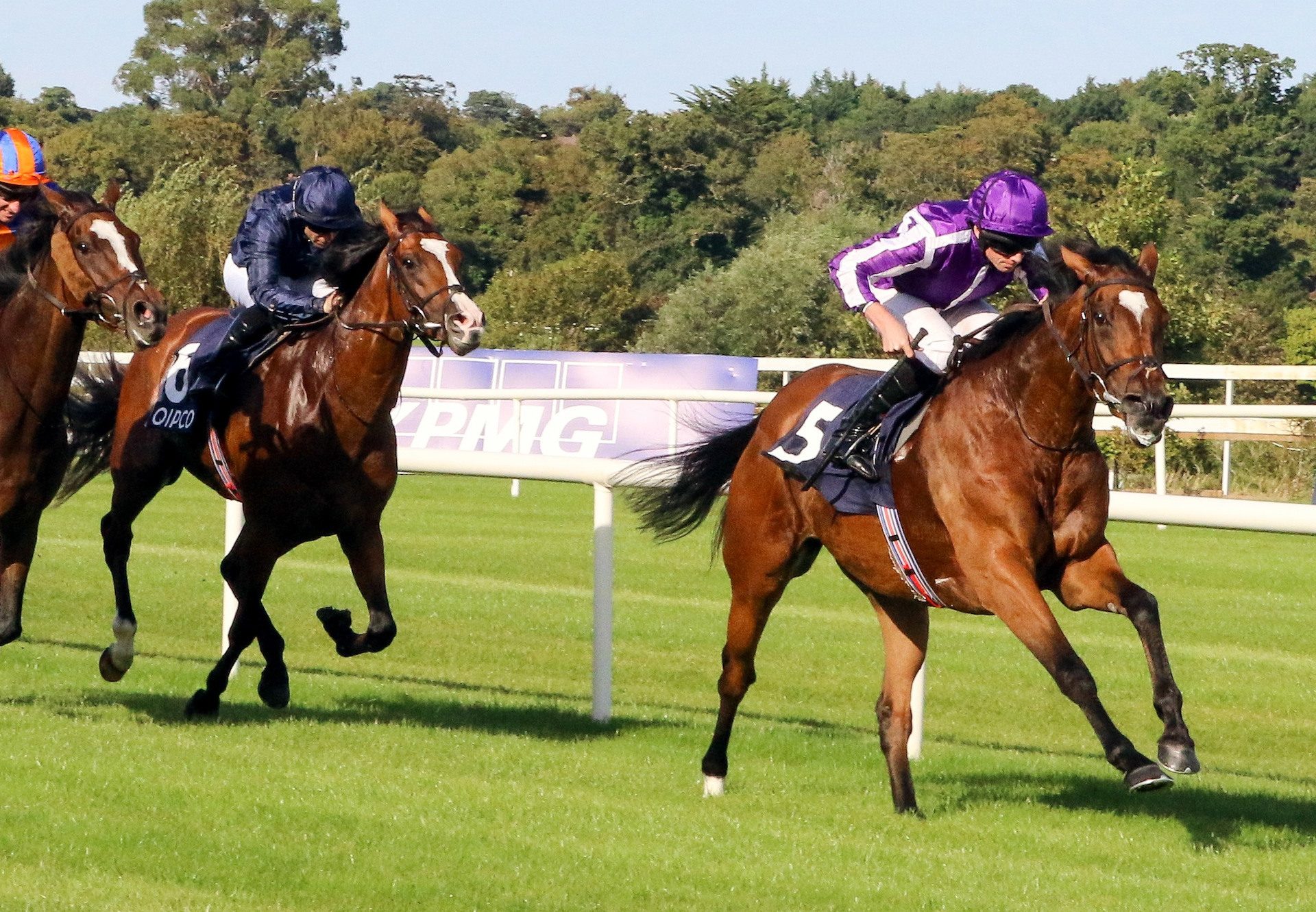 Magical Champion Stakes And Galileo