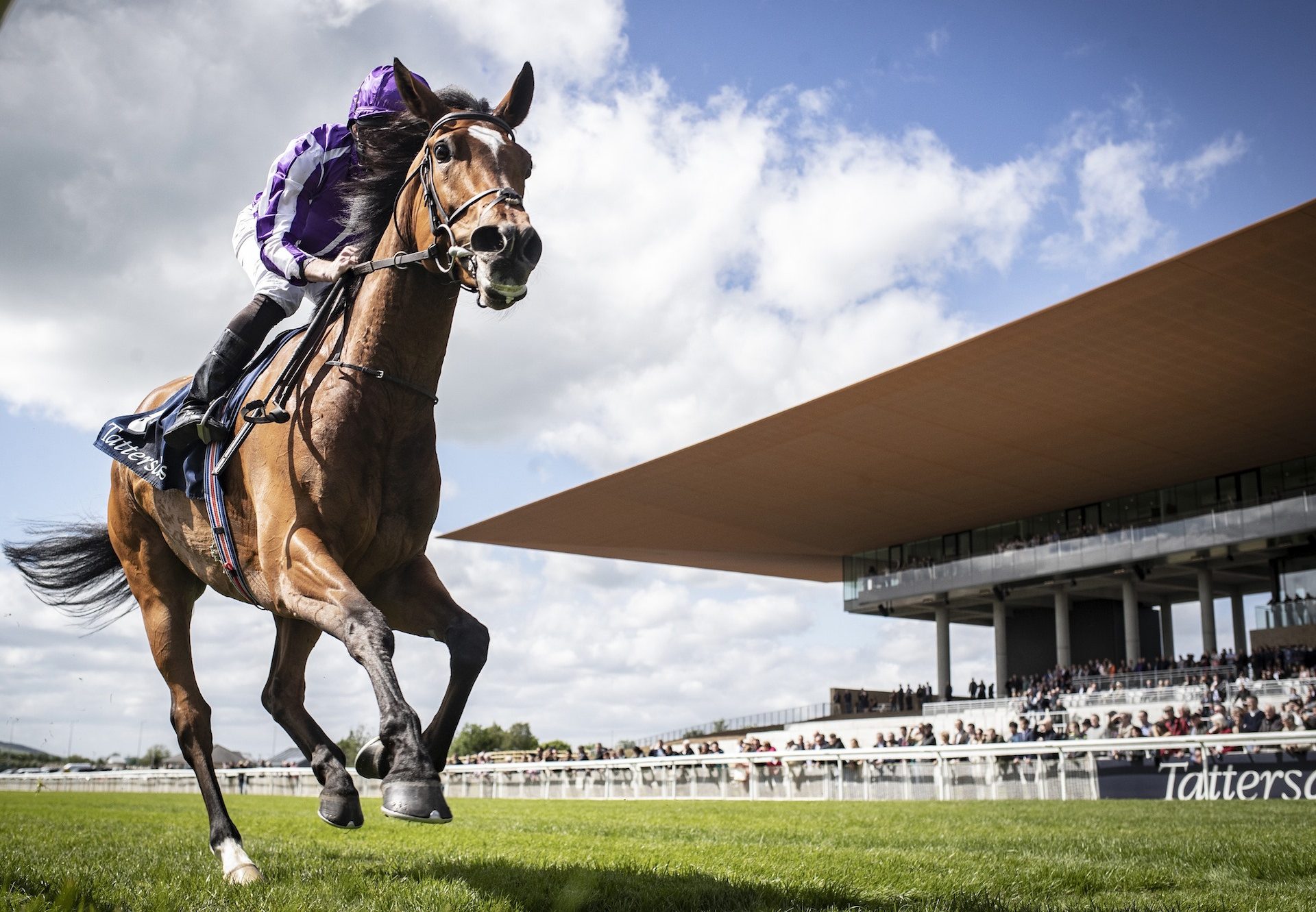 Magical (Galileo) Wins The Tattersalls Gold Cup at the Curragh