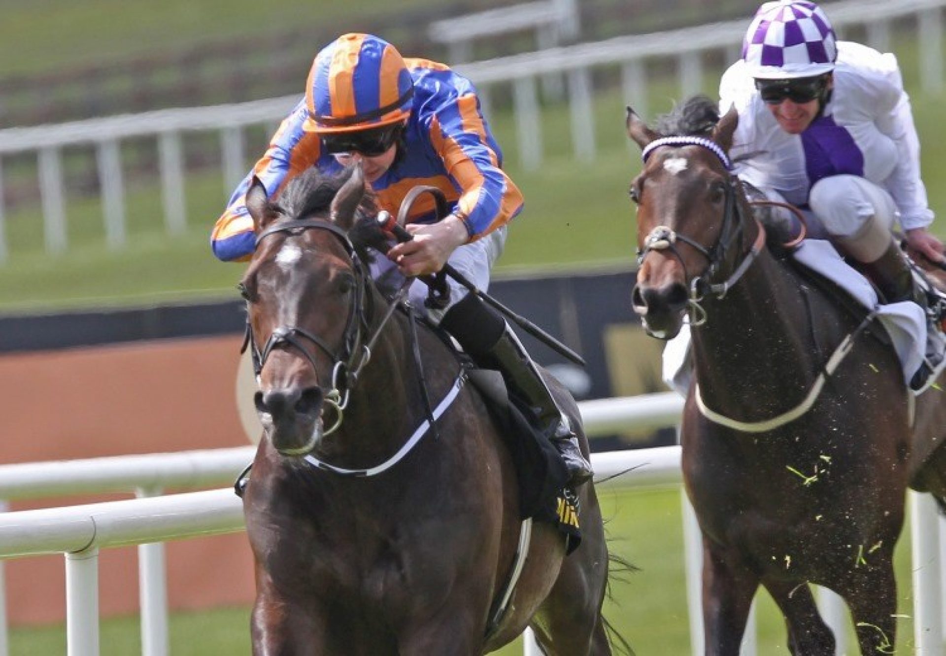 Magician (Galileo) winning the Irish 2000 Guineas at the Curragh