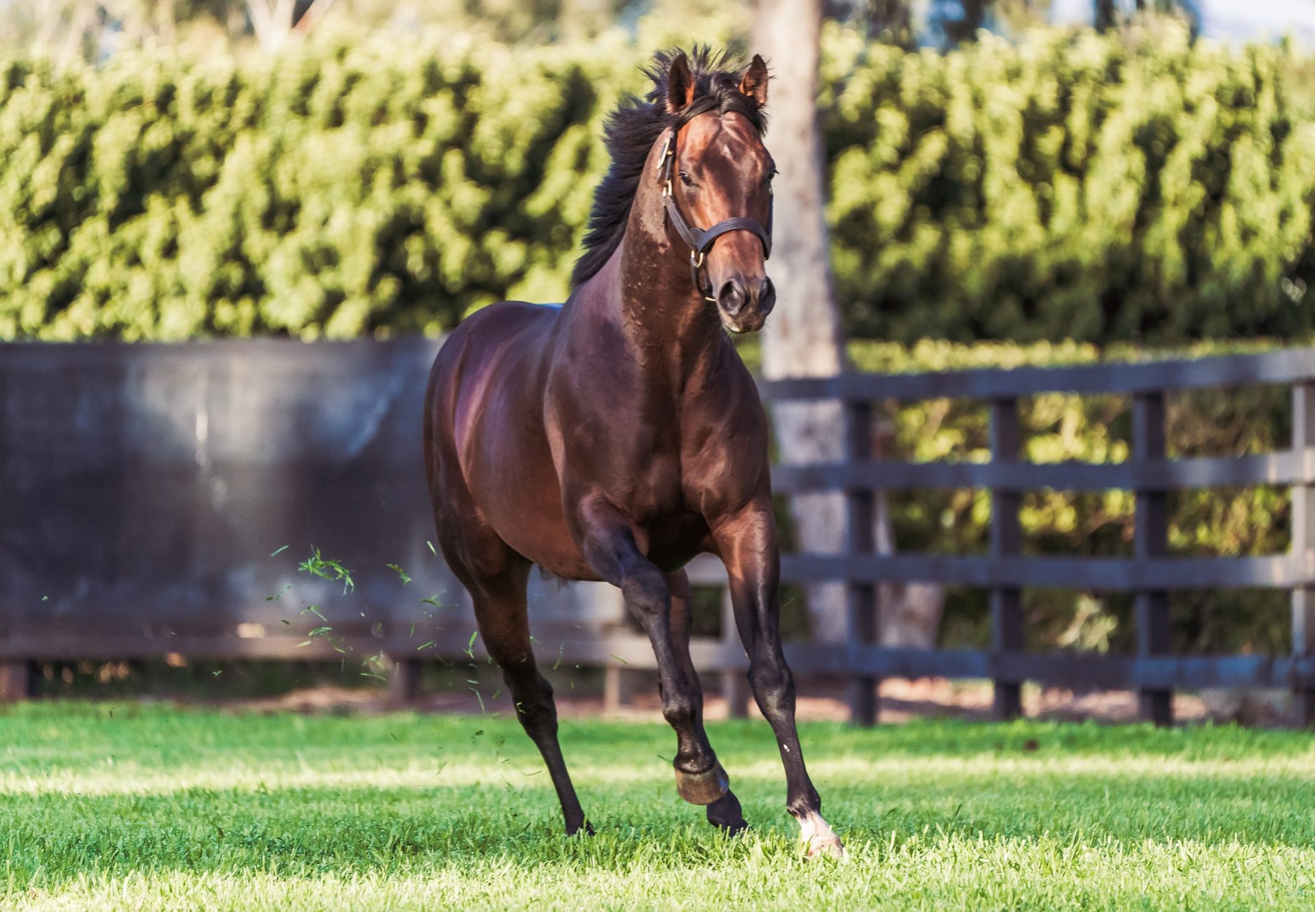 Magna Grecia Paddock