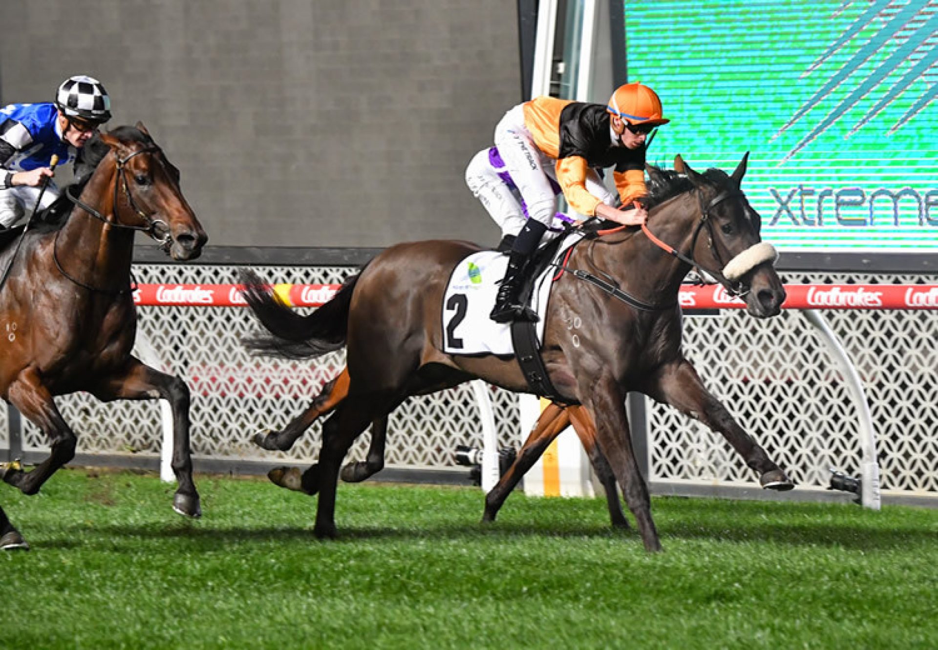 Maharba (Pride Of Dubai) winning at Moonee Valley