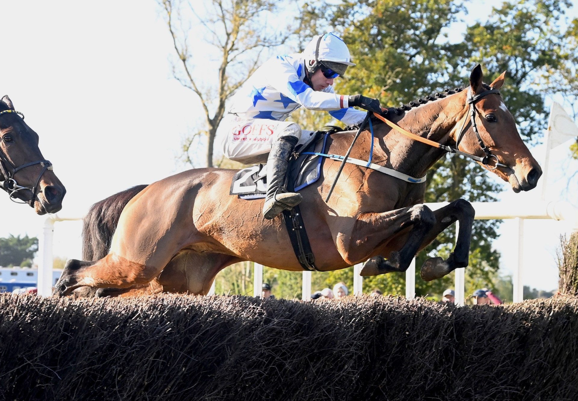 Mahons Way (Walk In The Park) Wins The 4YO Maiden At Lisronagh