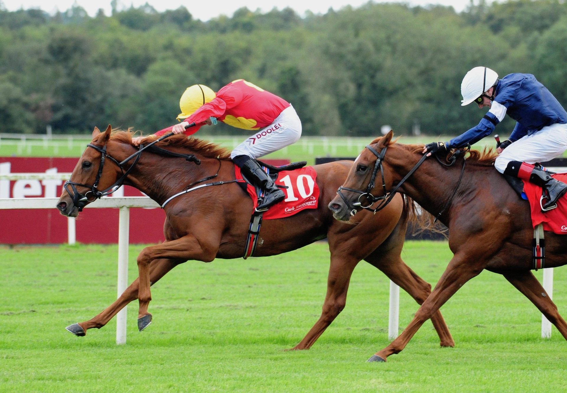 Malaysian (Pride Of Dubai) Wins Her Maiden At Cork