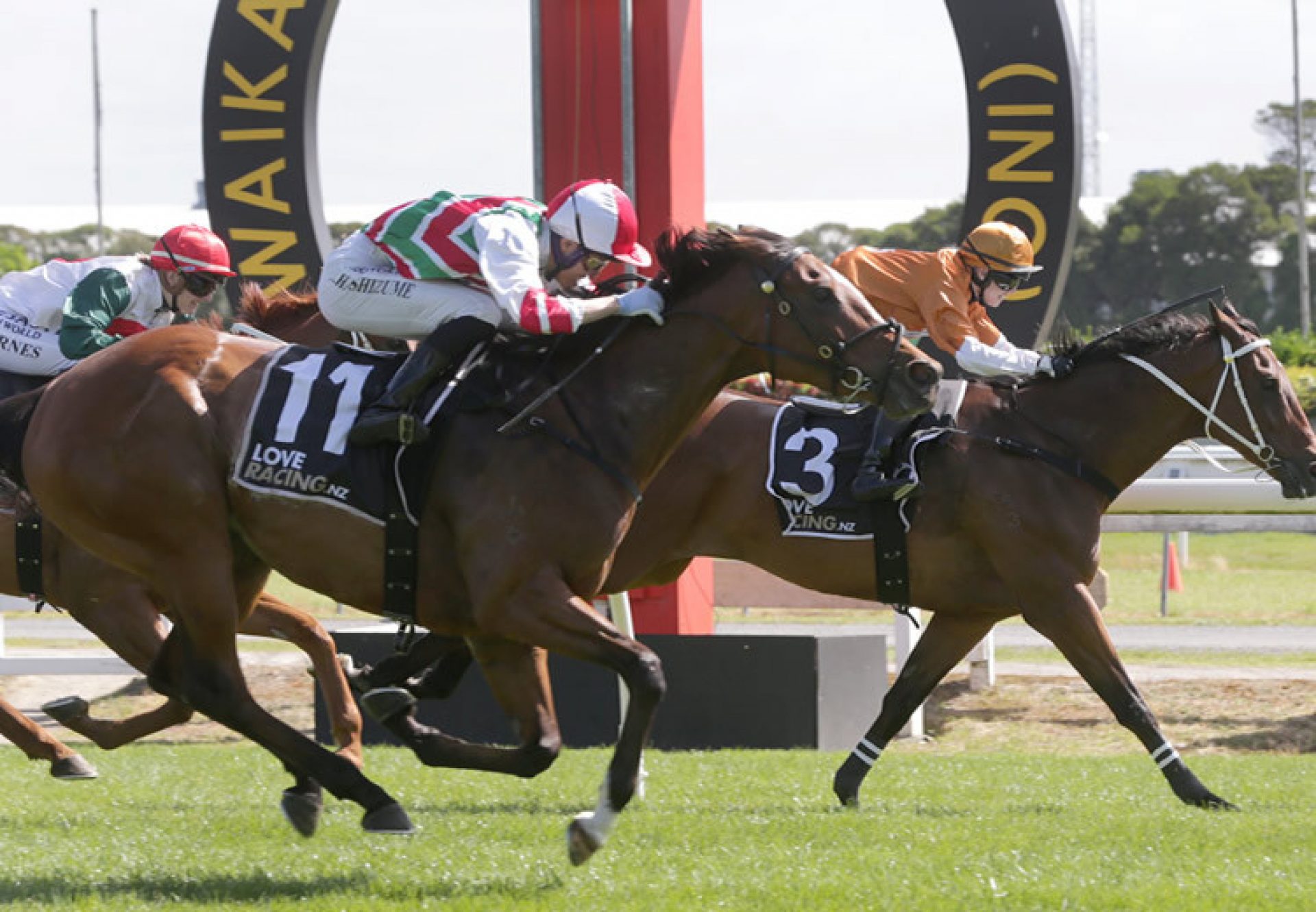 Malt Time (Adelaide) winning the Listed Legacy Lodge Sprint at Te Rapa