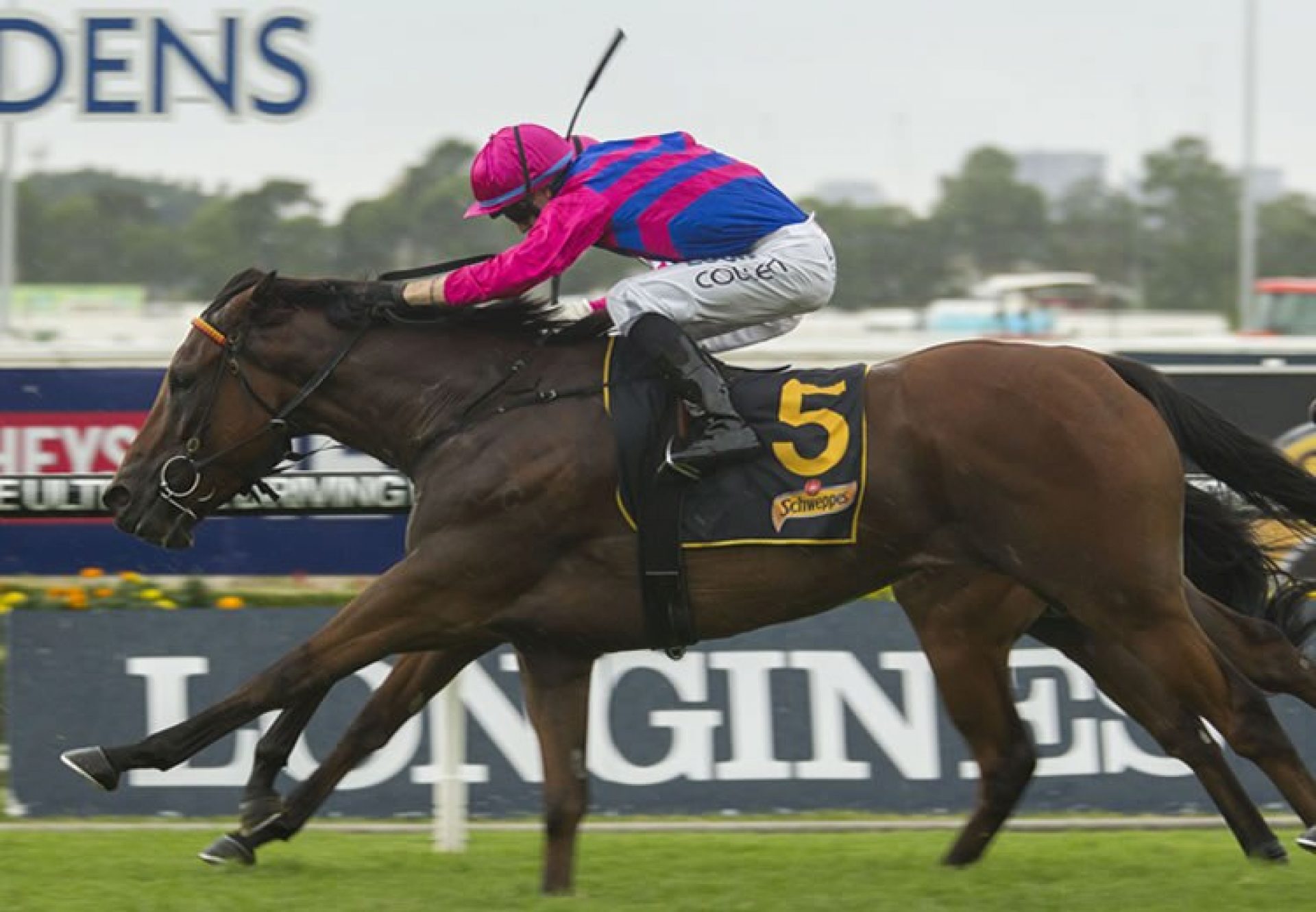 Man From Uncle (Uncle Mo) winning the G2 ATC Hobartville Stakes at Rosehill