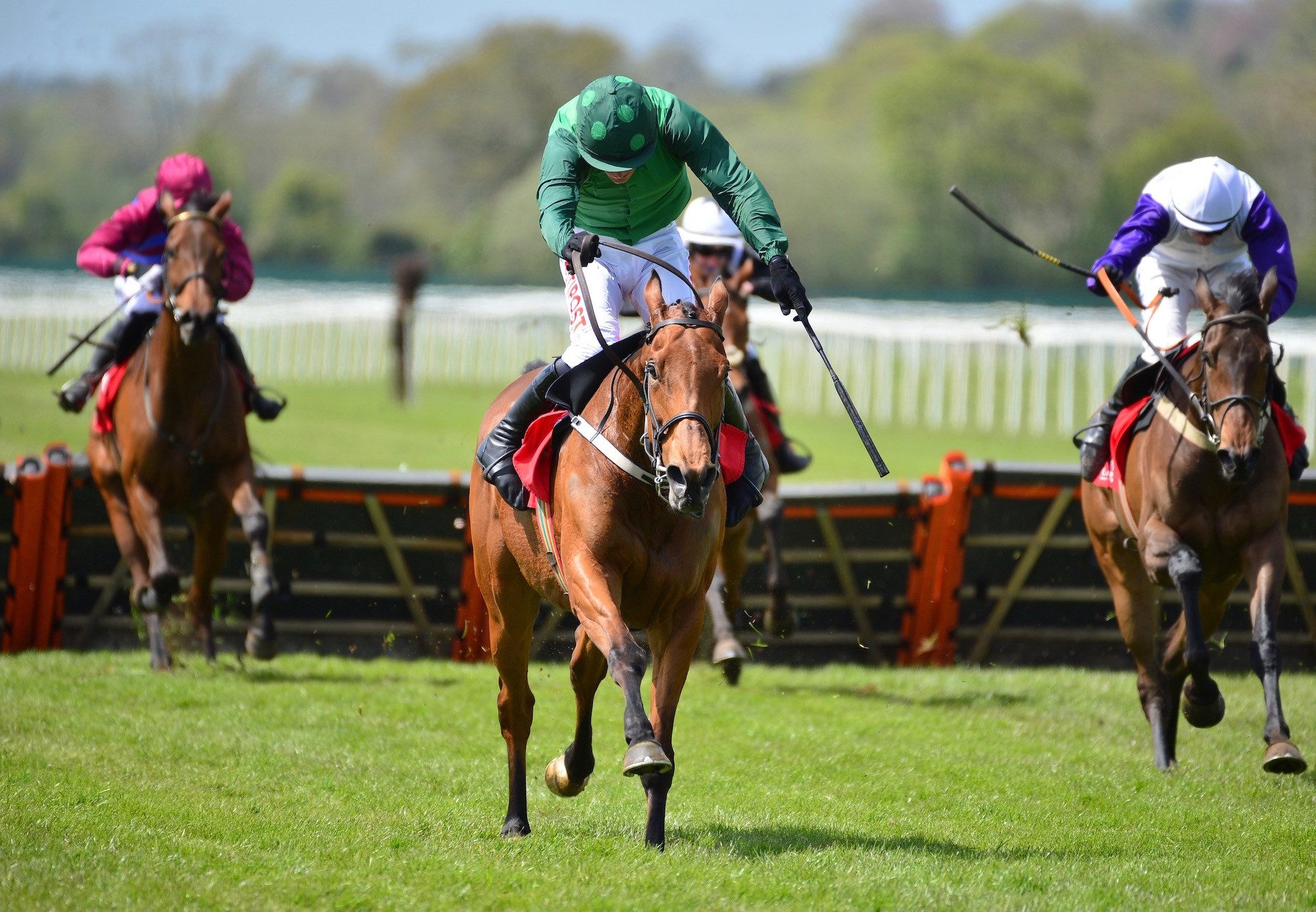 Manitopark AA (Walk In The Park) Wins The Mares Maiden Hurdle At Cork