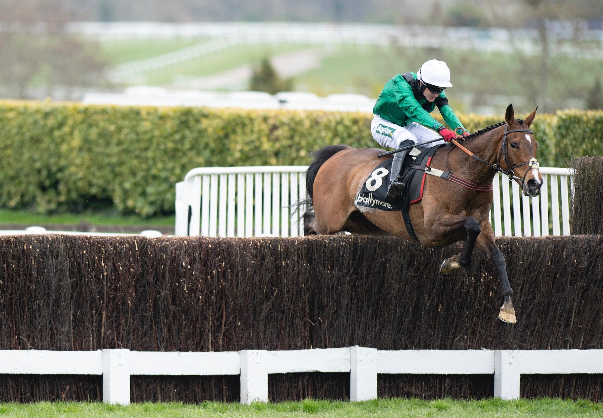 Manofthemountain (Mahler) Wins The Grade 2 Ballymore Silver Trophy at Cheltenham