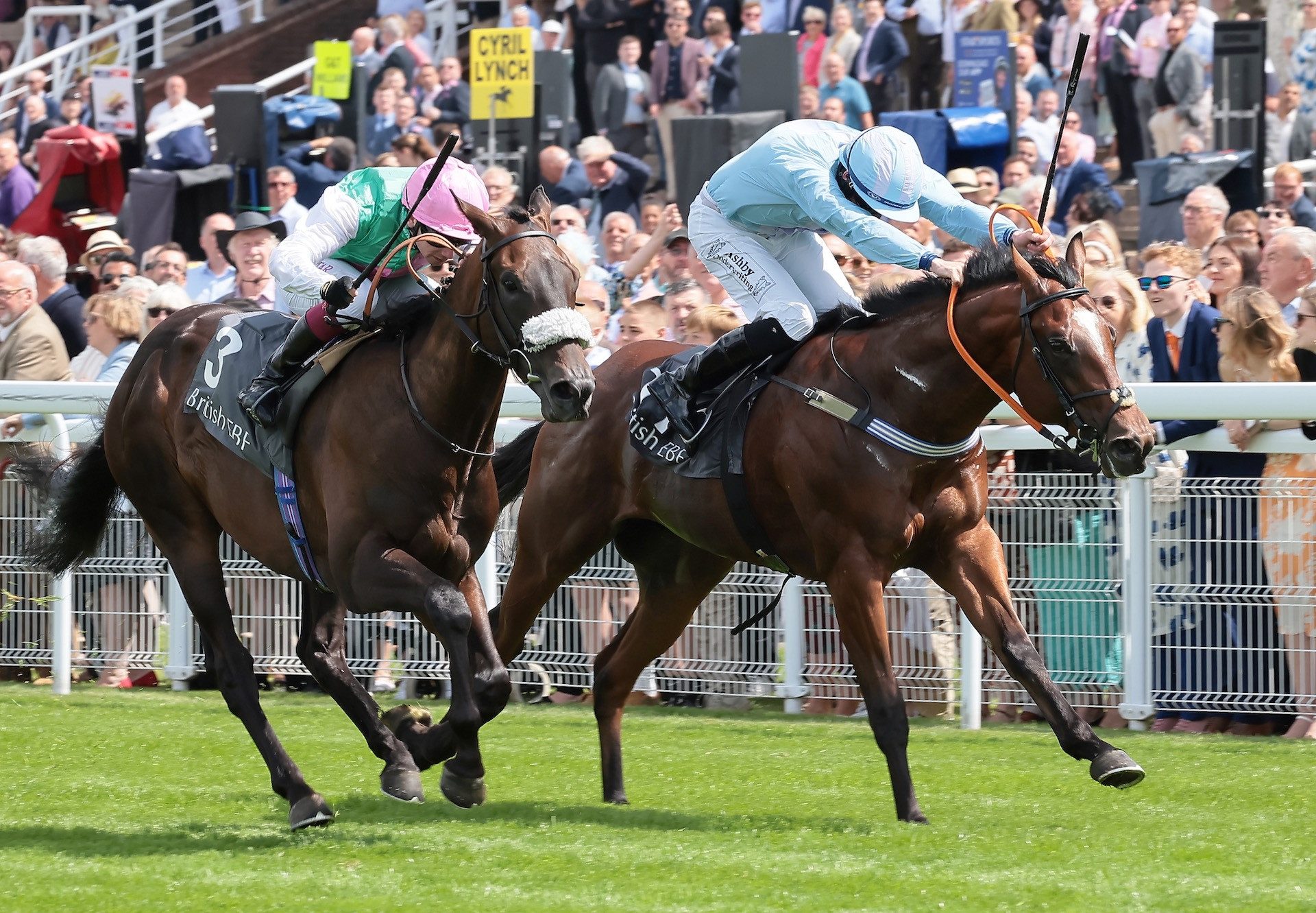 Mansa Musa (Ten Sovereigns) Wins His Maiden At Goodwood