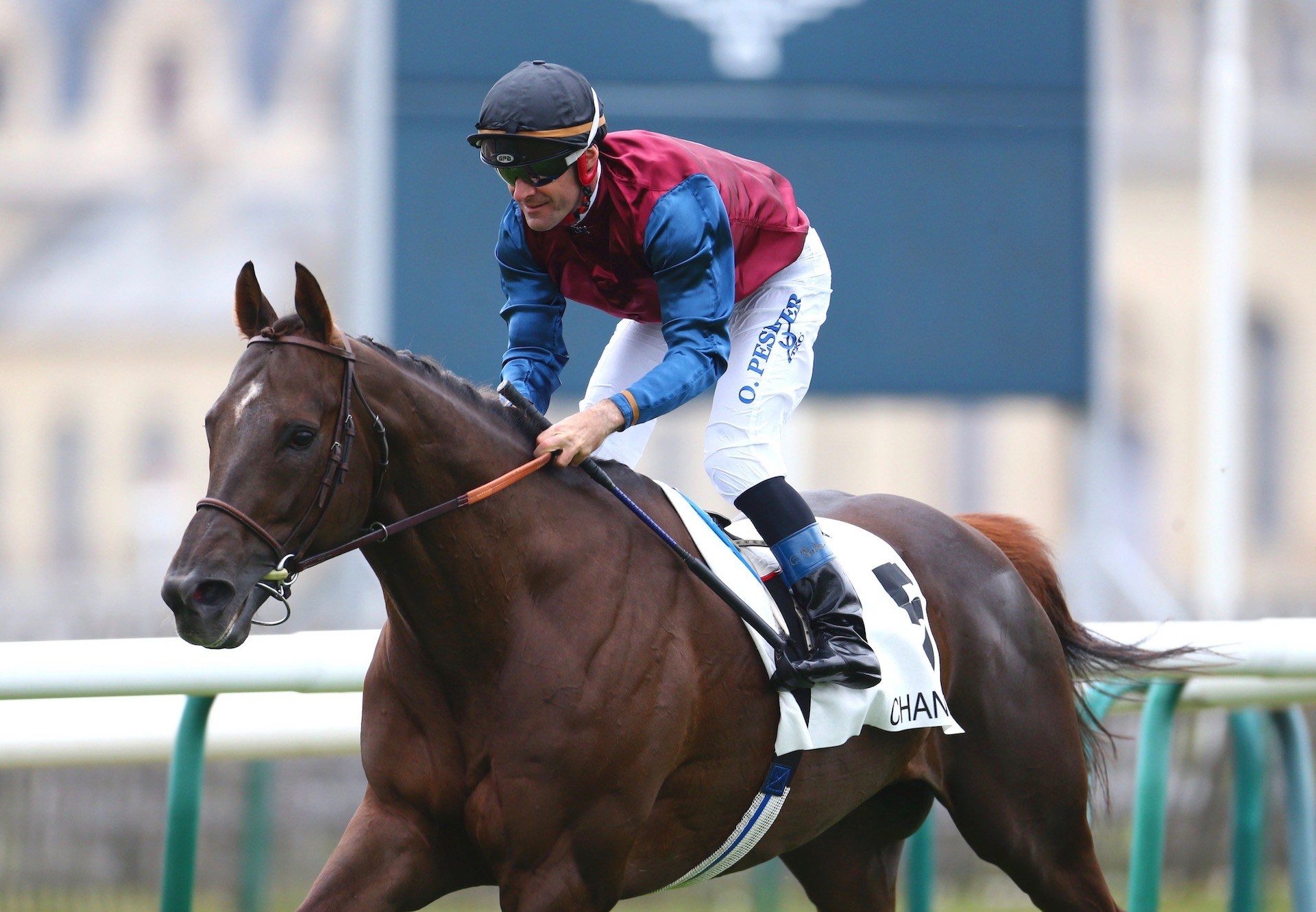 Mare Australis (Australia) Wins The Group 2 Grand Prix De Chantilly at Chantilly