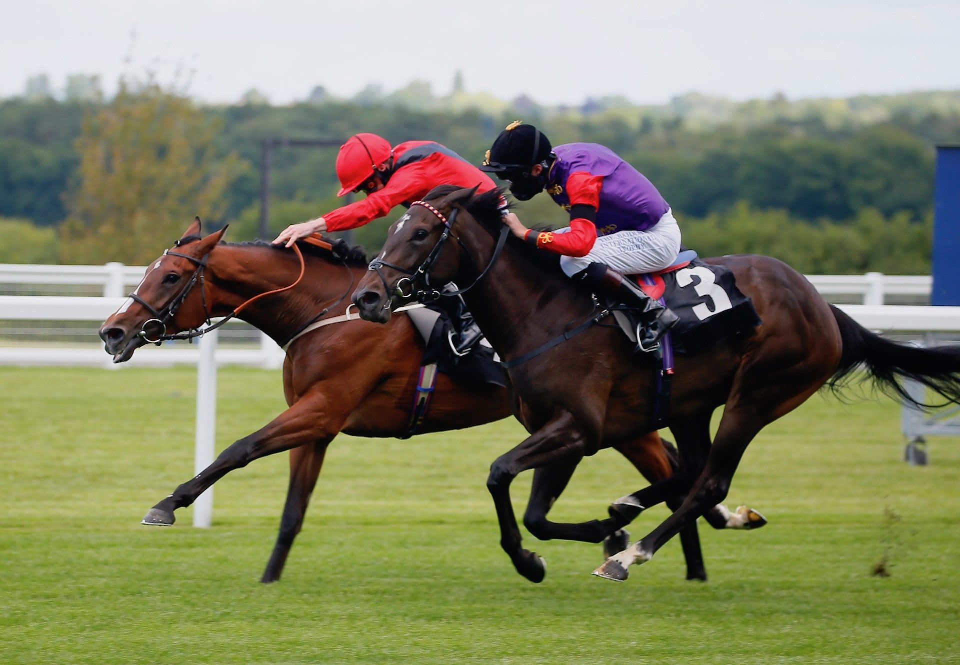 Margaret Dumont (Camelot) Wins Her Maiden At Ascot